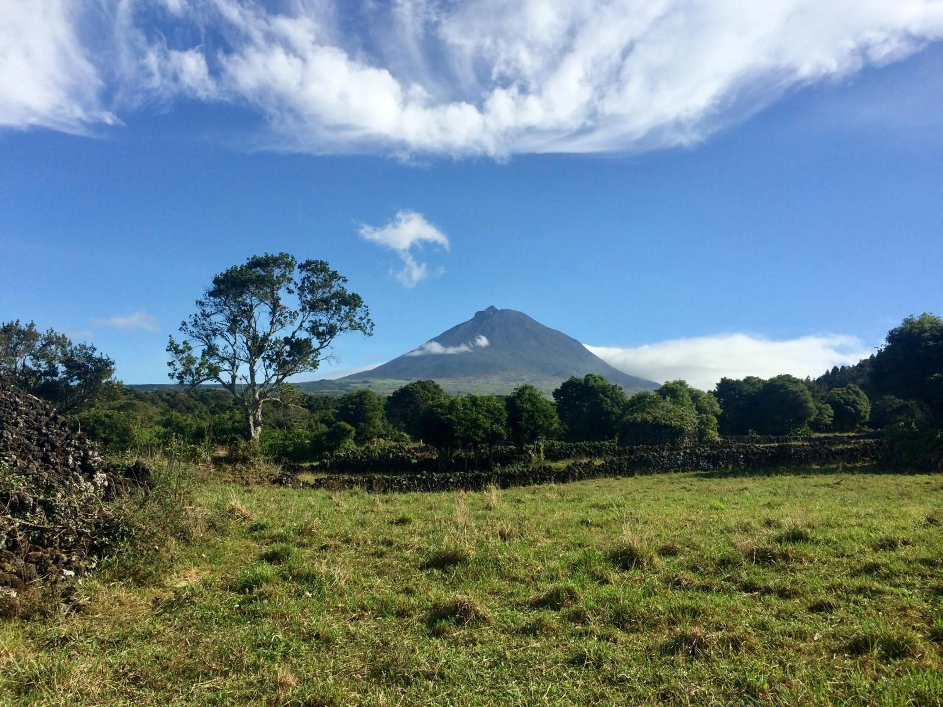 Landmark view in Villa Da Madalena