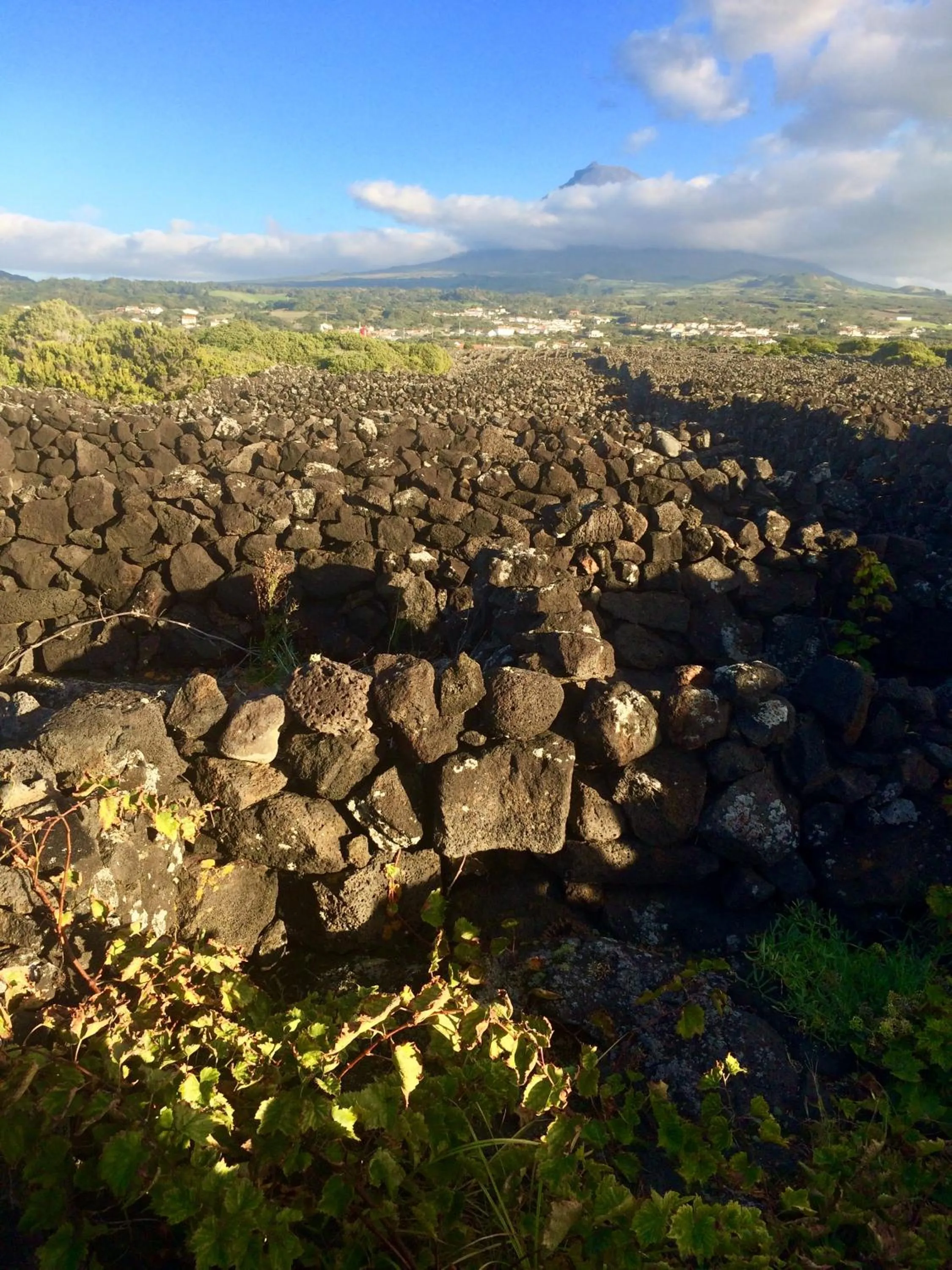 Landmark view in Villa Da Madalena