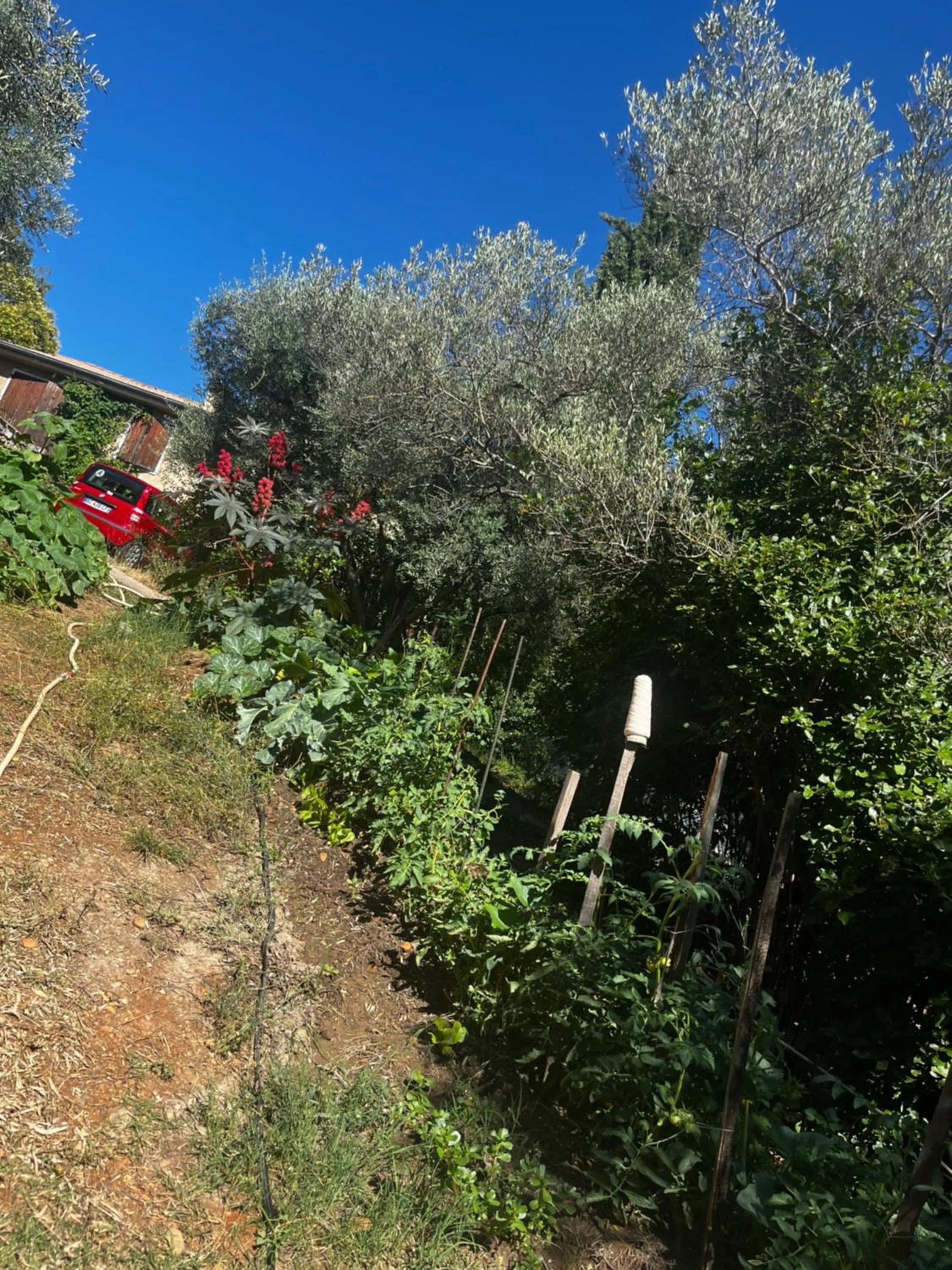 Garden in Le Mazet de choubouloute