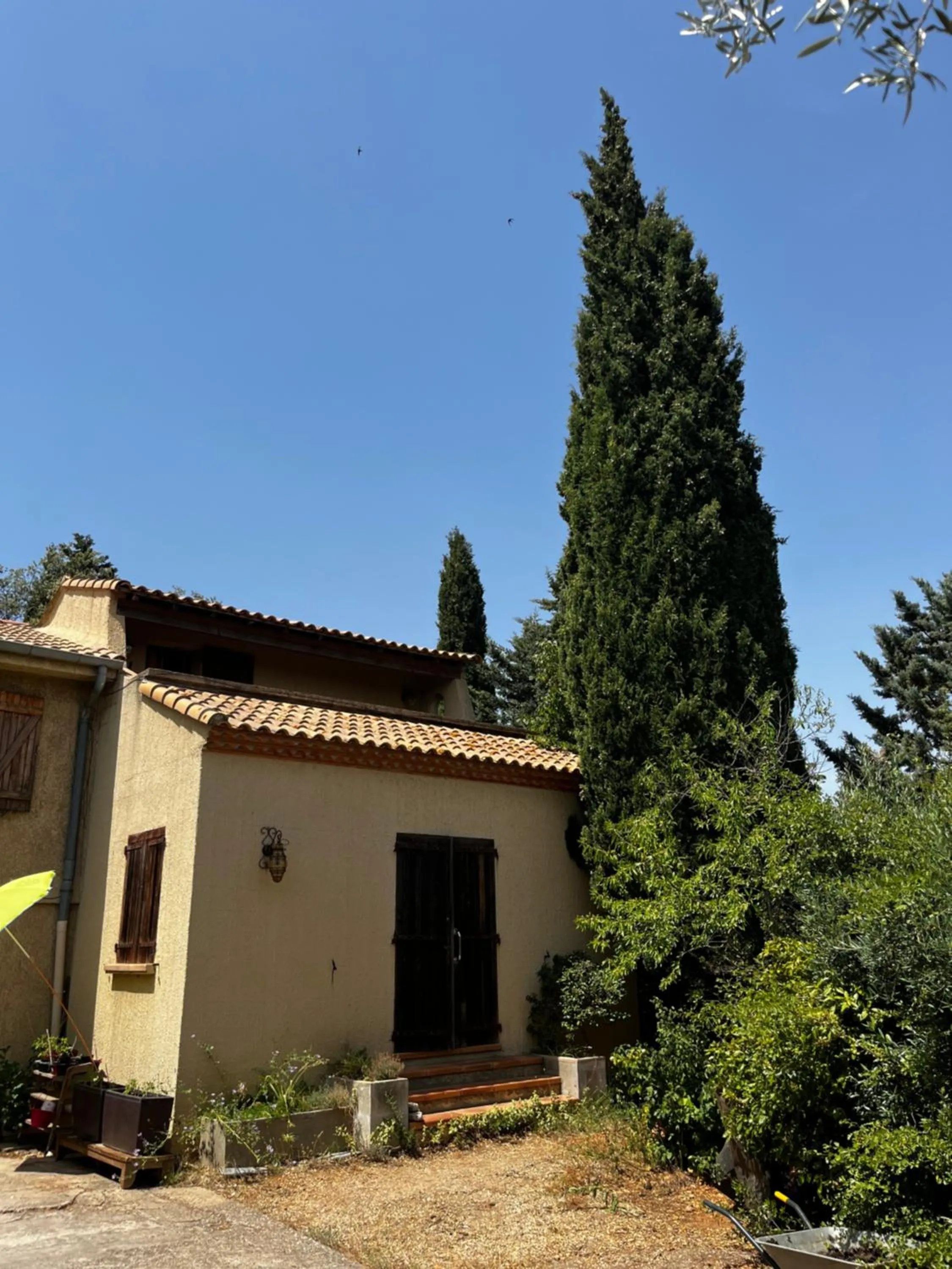 Facade/entrance in Le Mazet de choubouloute