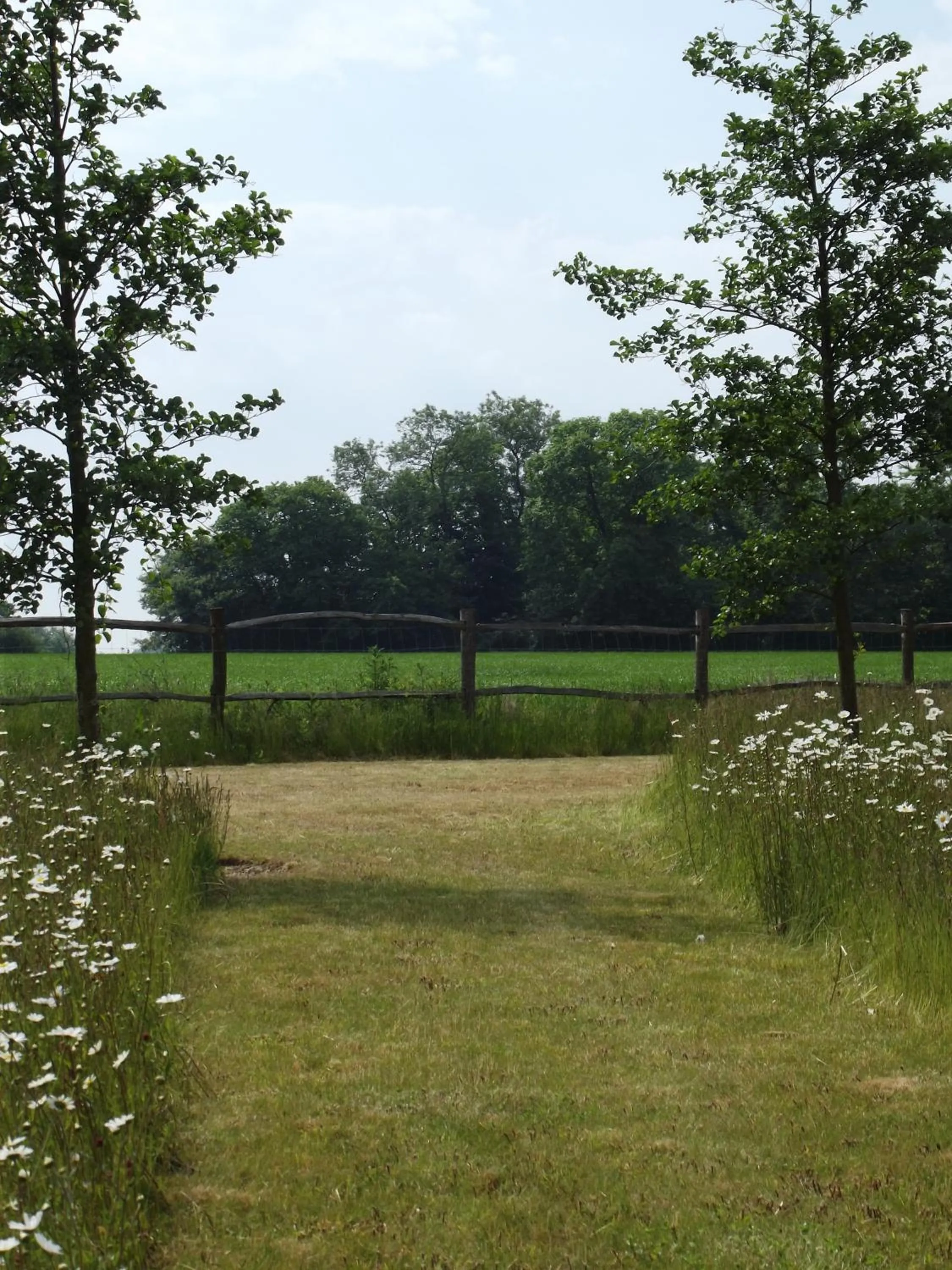 Garden in The Suites at Pannells Ash
