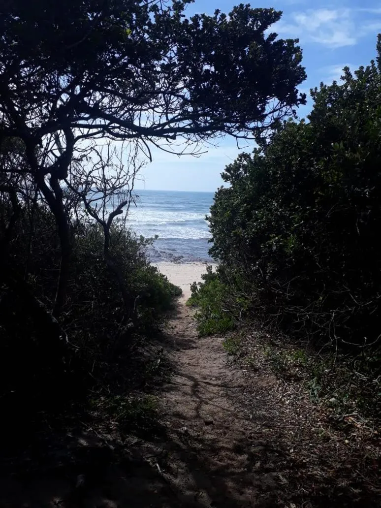 Fishing in Crowned Crane