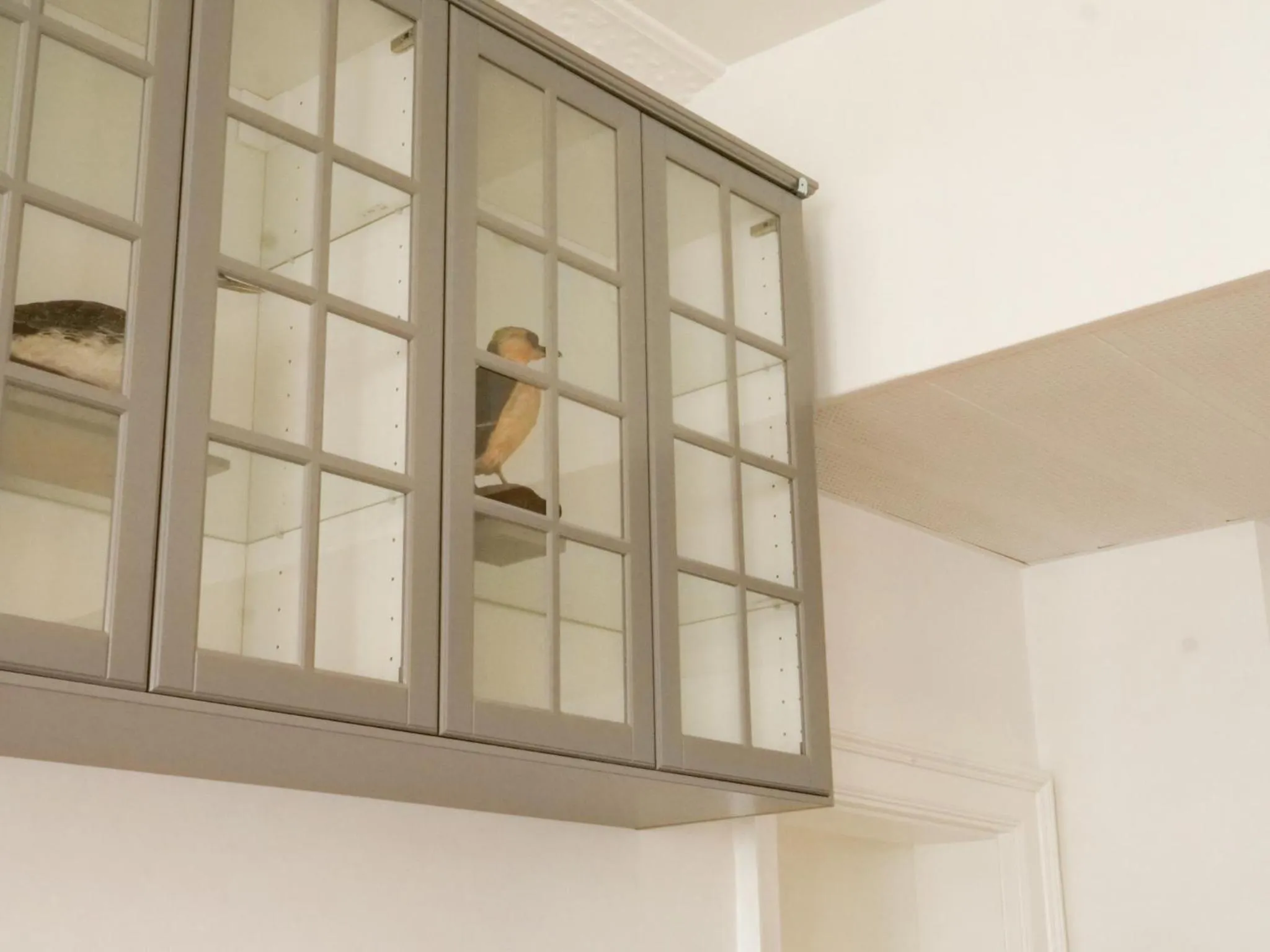 Restaurant/places to eat in Hotel Villa Gulle