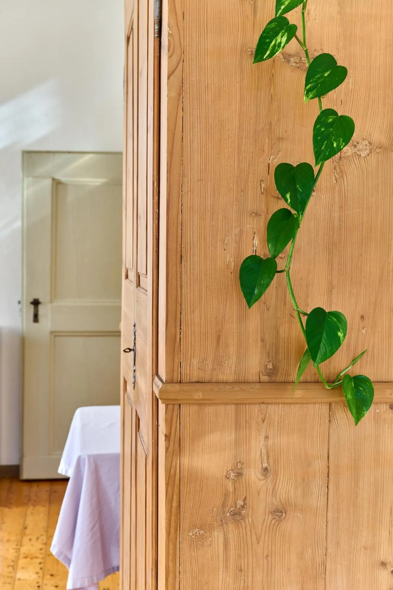 Decorative detail in Al Cavour 34