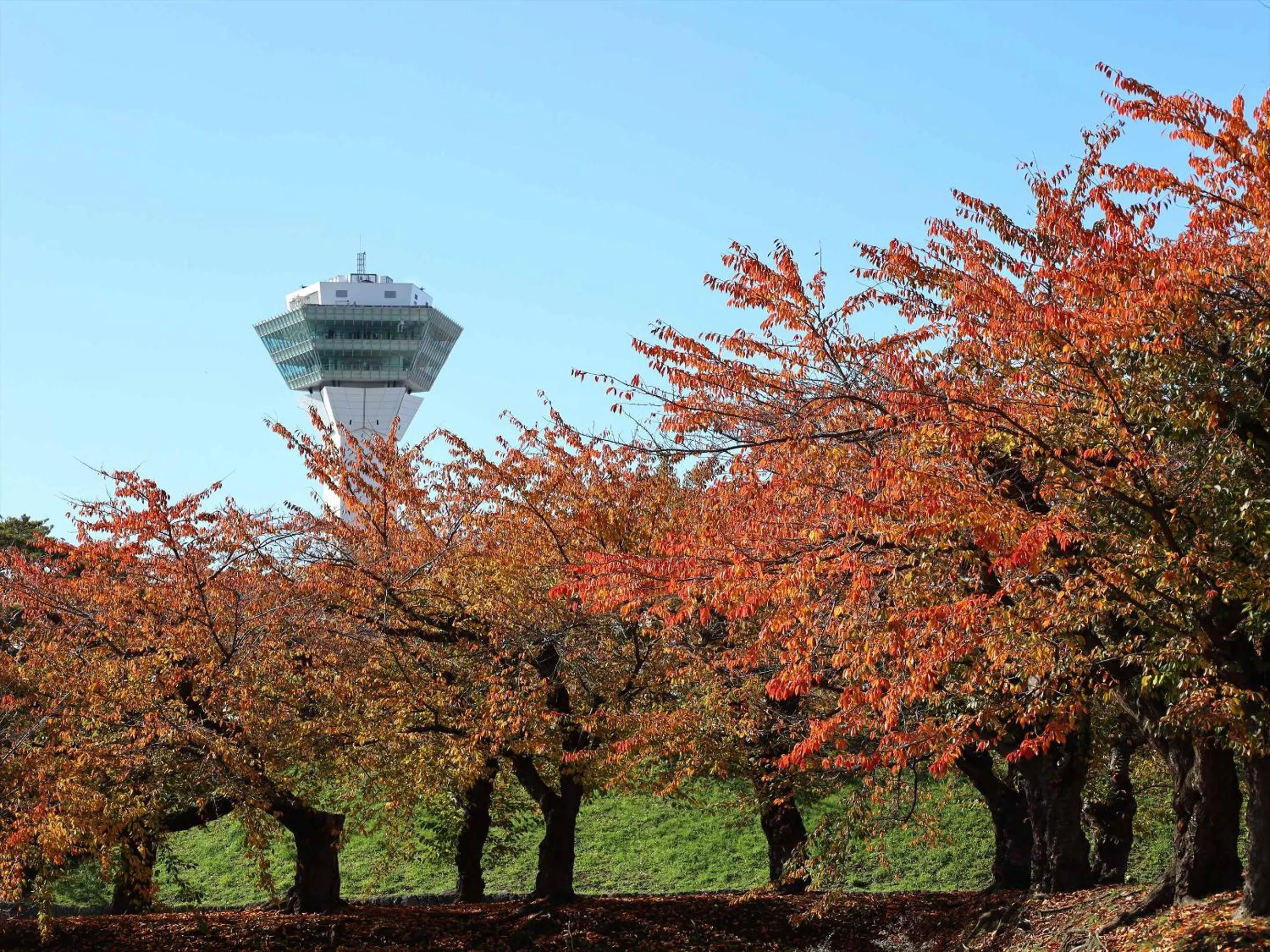 Nearby landmark in Gran Palette Hakodate