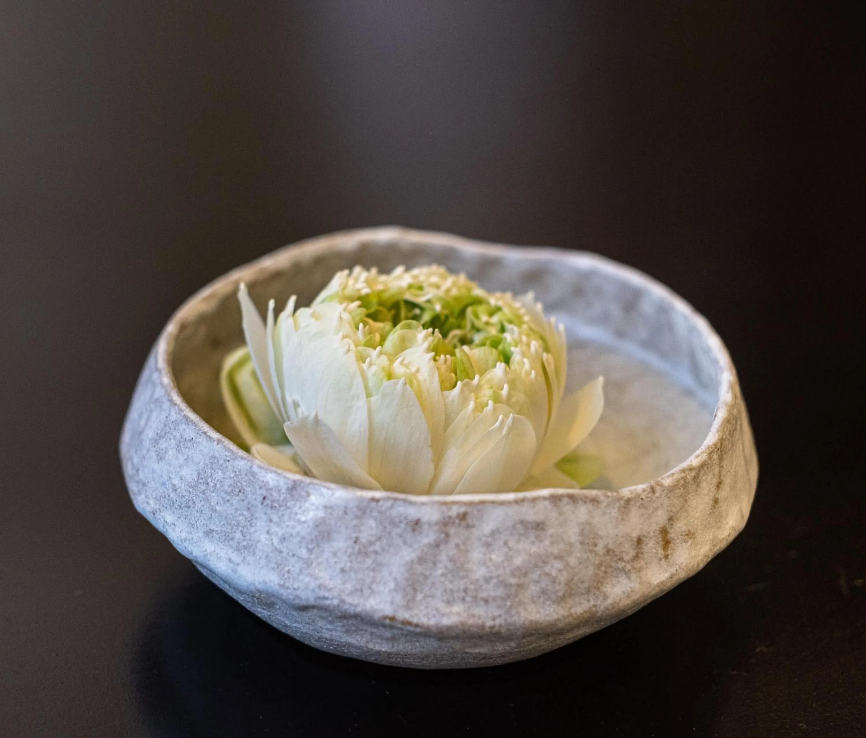 Restaurant/places to eat in Hotel Vellita Siem reap