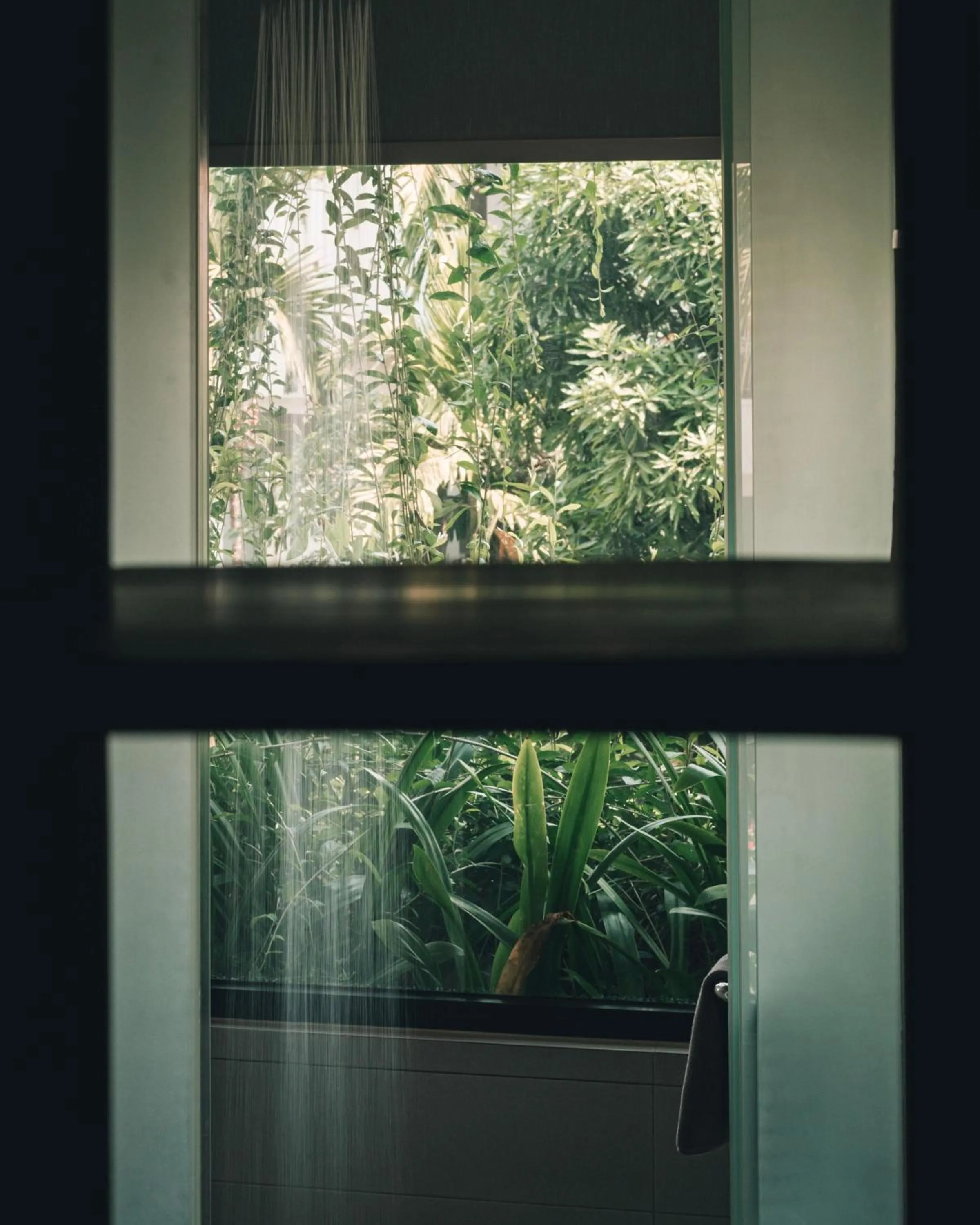 Activities in Hotel Vellita Siem reap