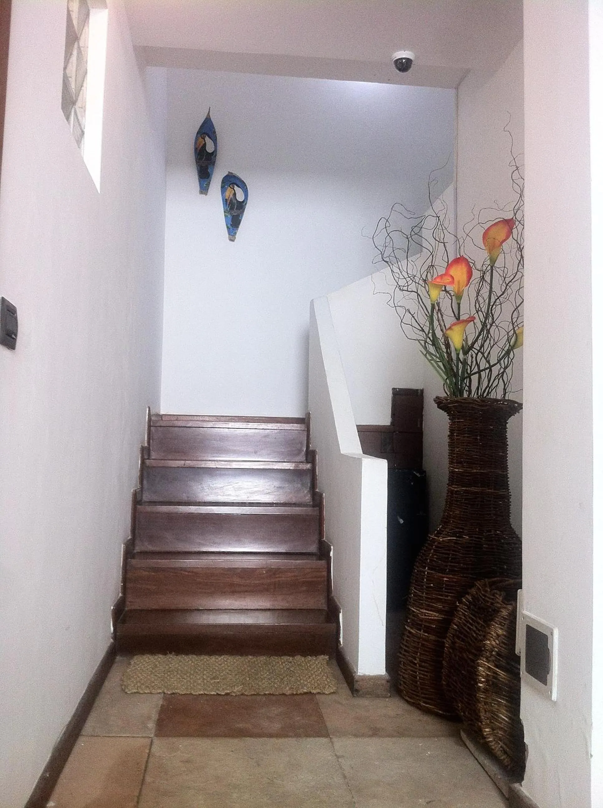 Area and facilities in Villa Domenico