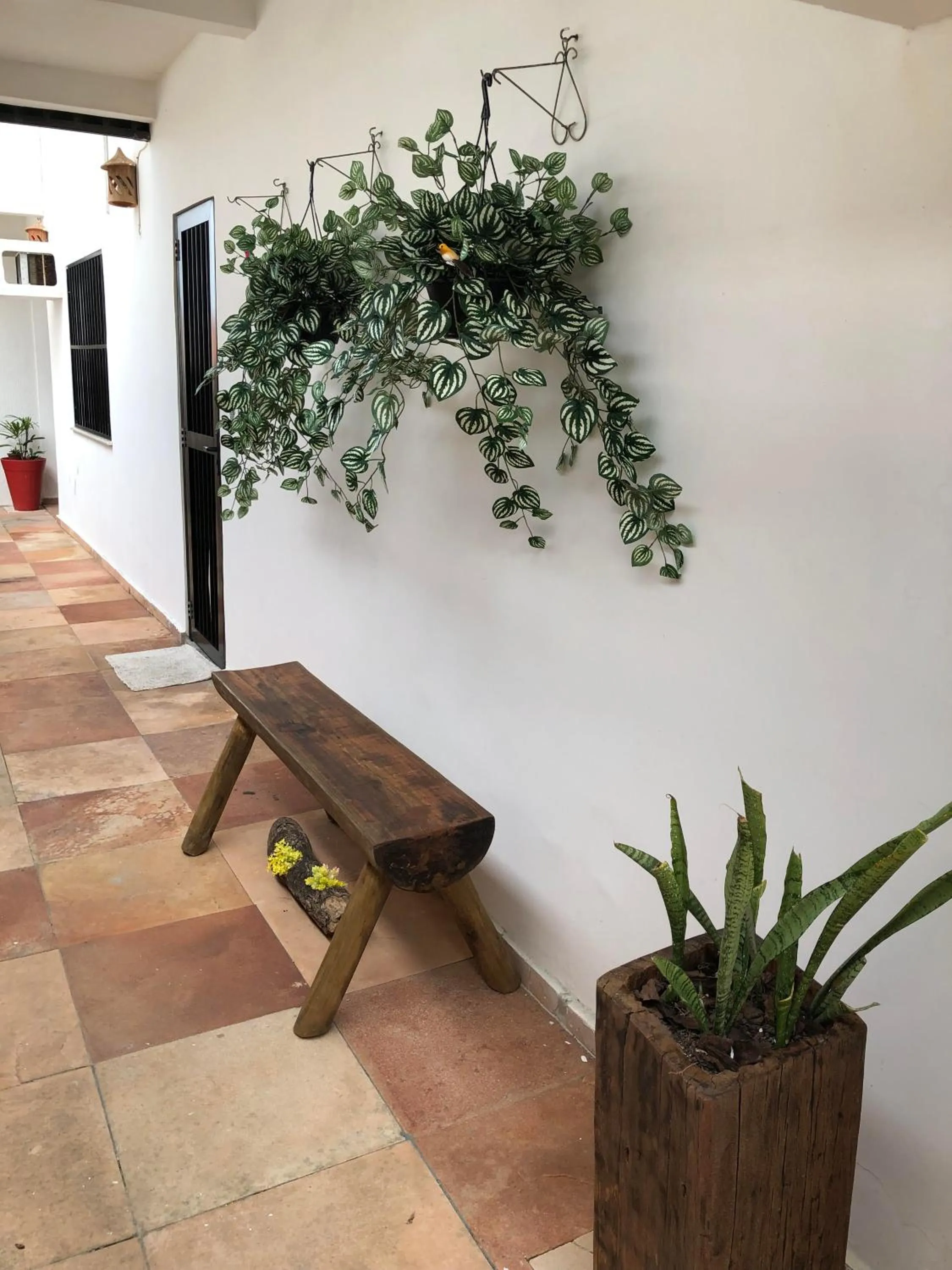 Patio in Villa Domenico