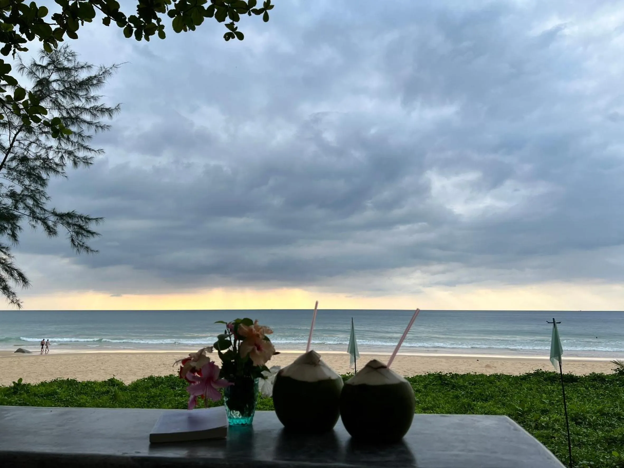 Natural landscape in Sealord Naithon Beachfront Villa