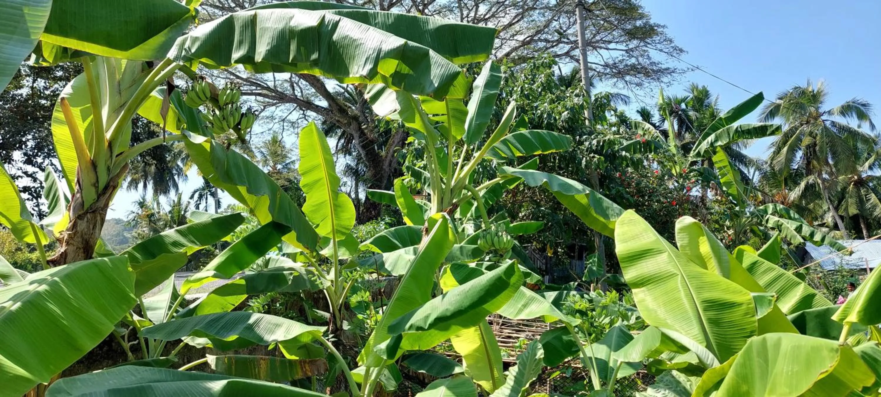 Neighbourhood in Matsya