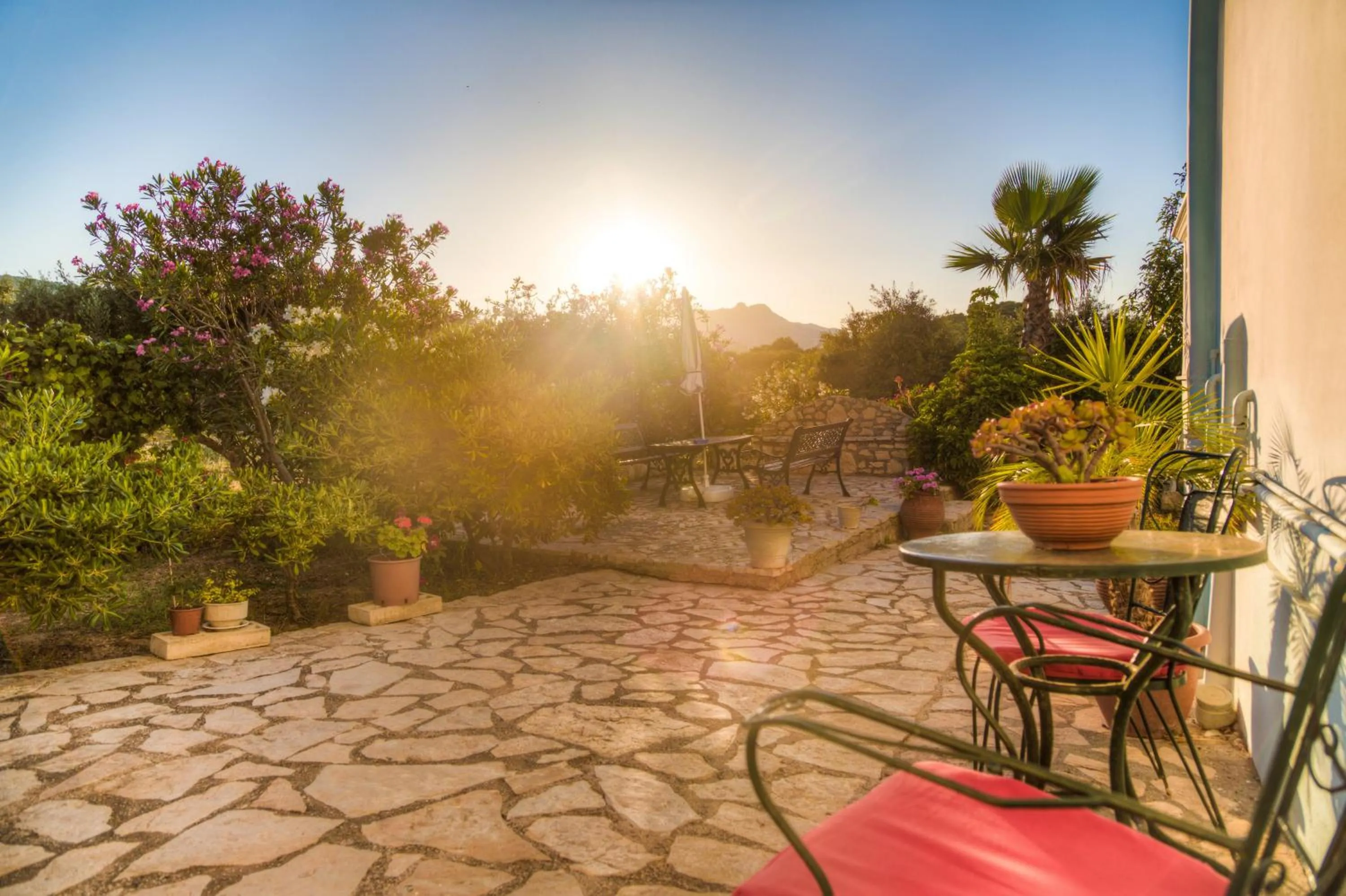 Garden in Villa Joanna