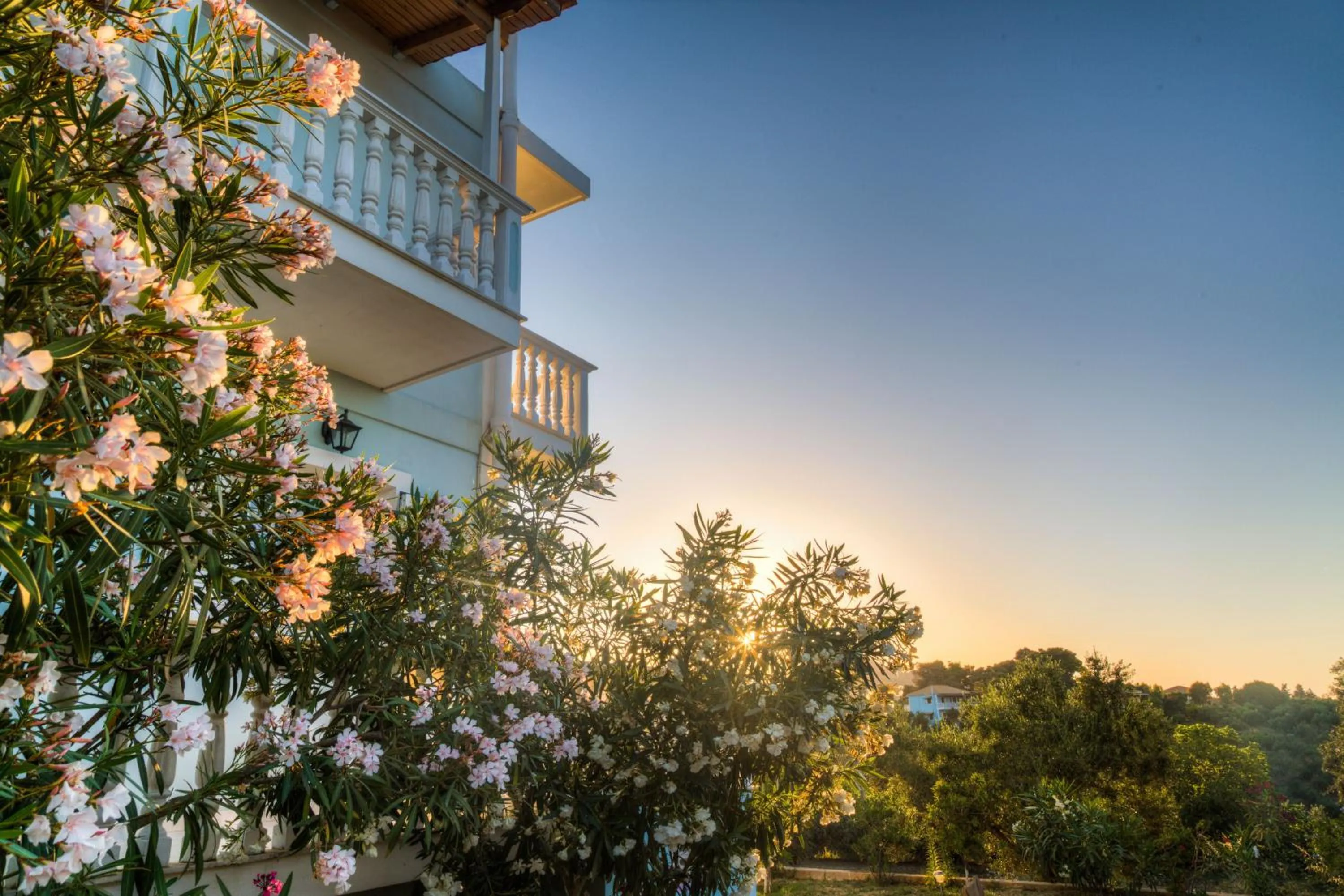 Garden in Villa Joanna