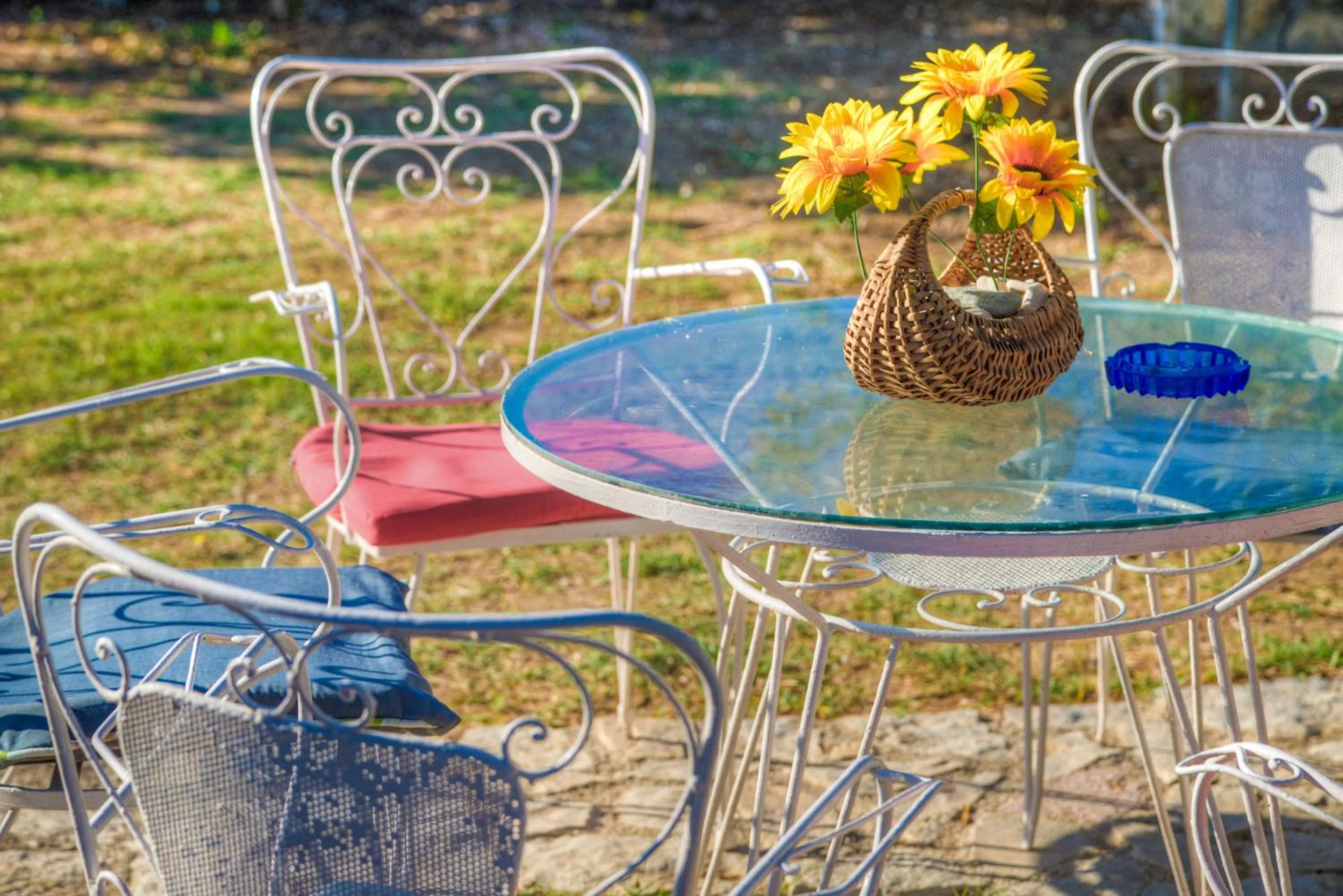 Garden in Villa Joanna