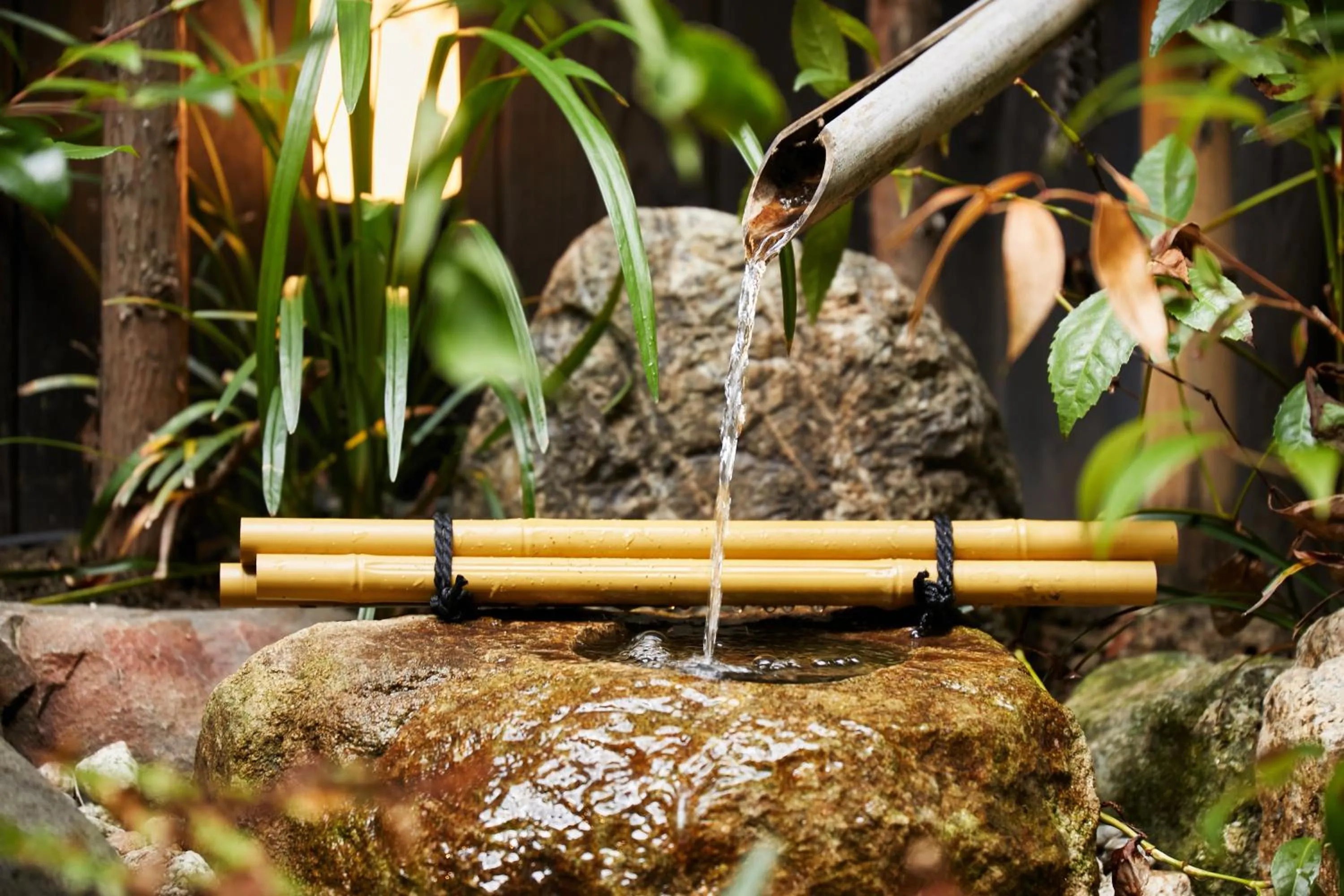 Garden view in TSUBOMI luxury Inn Shimabara Bettei 1