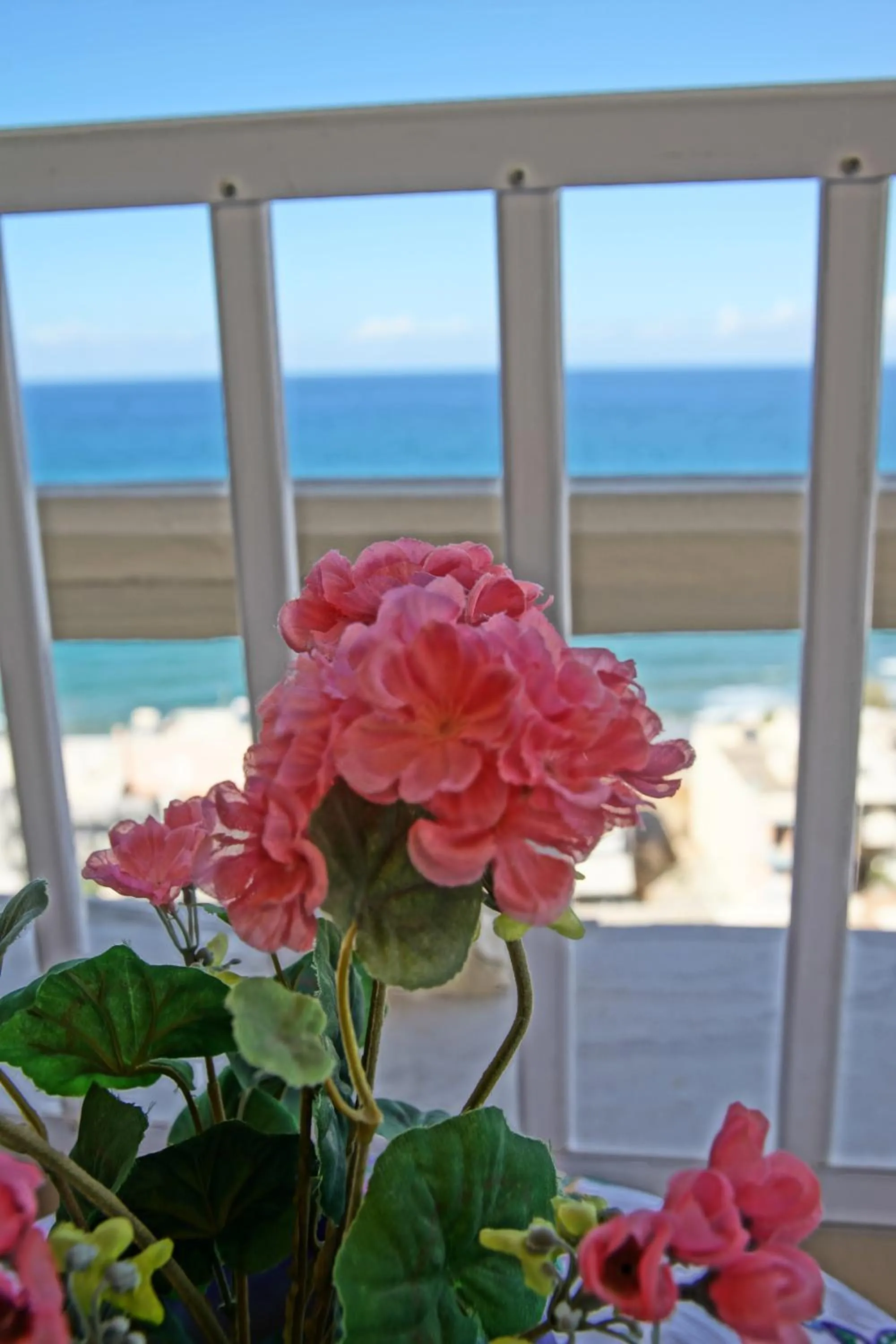 View (from property/room) in Eliza Apartments