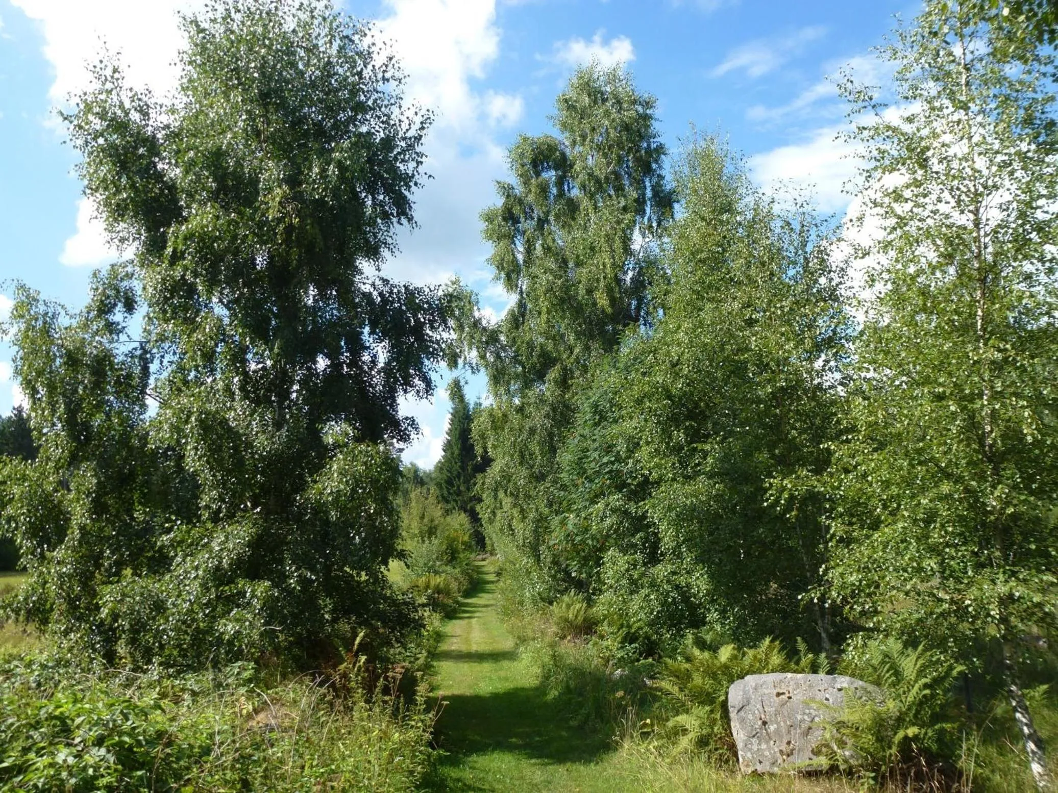 Area and facilities in Hotell Vita Hästen Hästveda