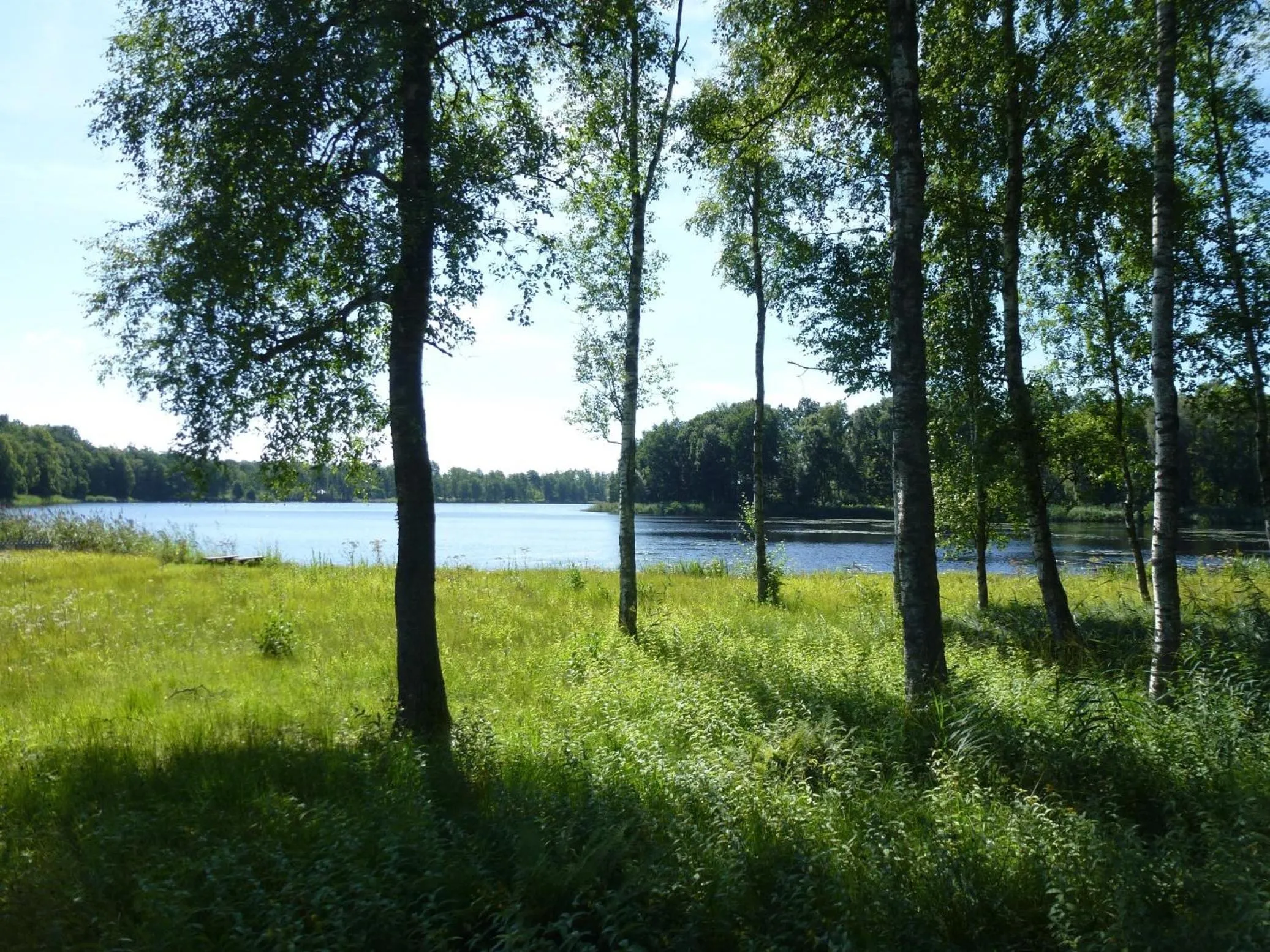 Area and facilities in Hotell Vita Hästen Hästveda