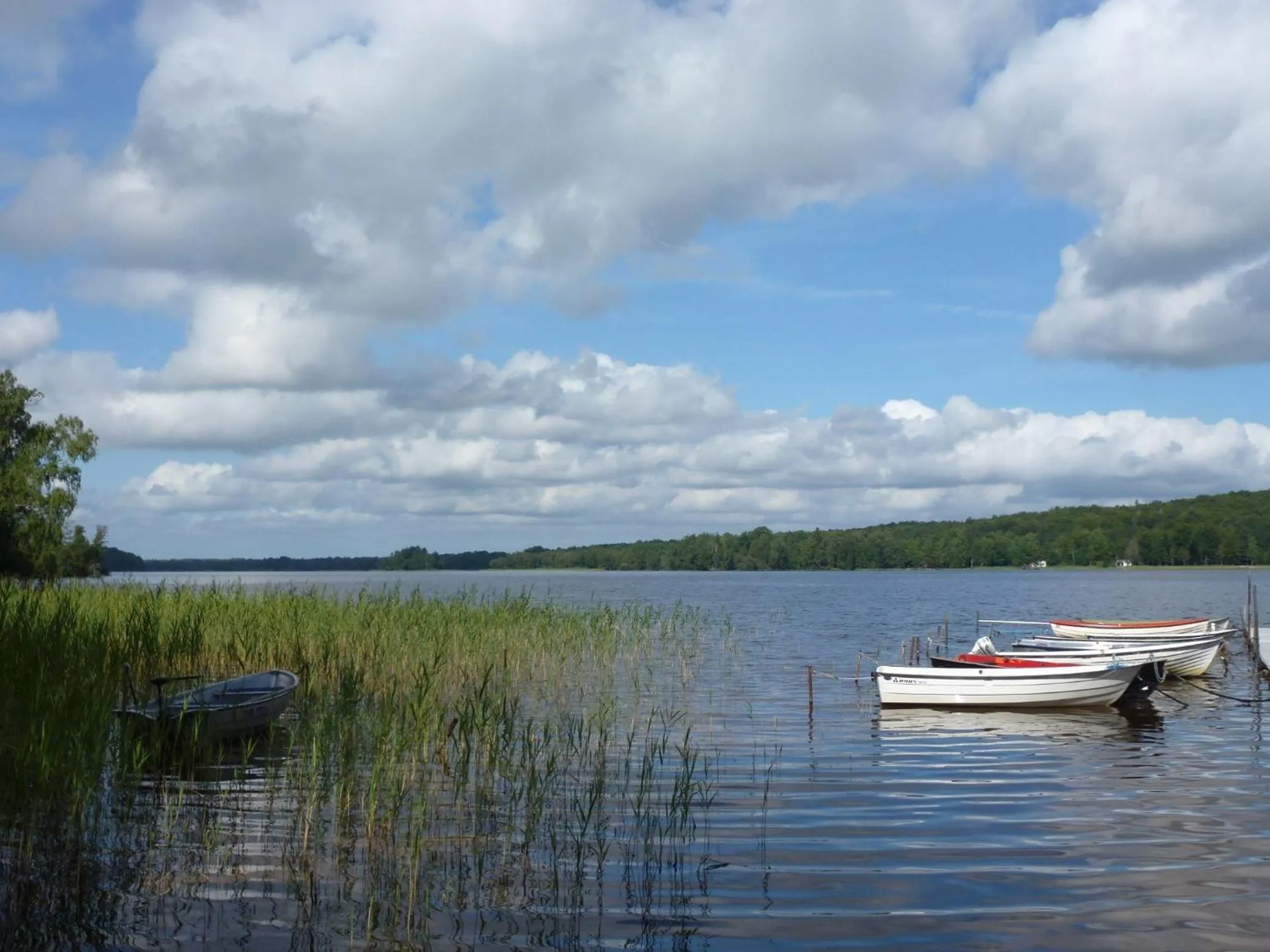 Beach in Hotell Vita Hästen Hästveda