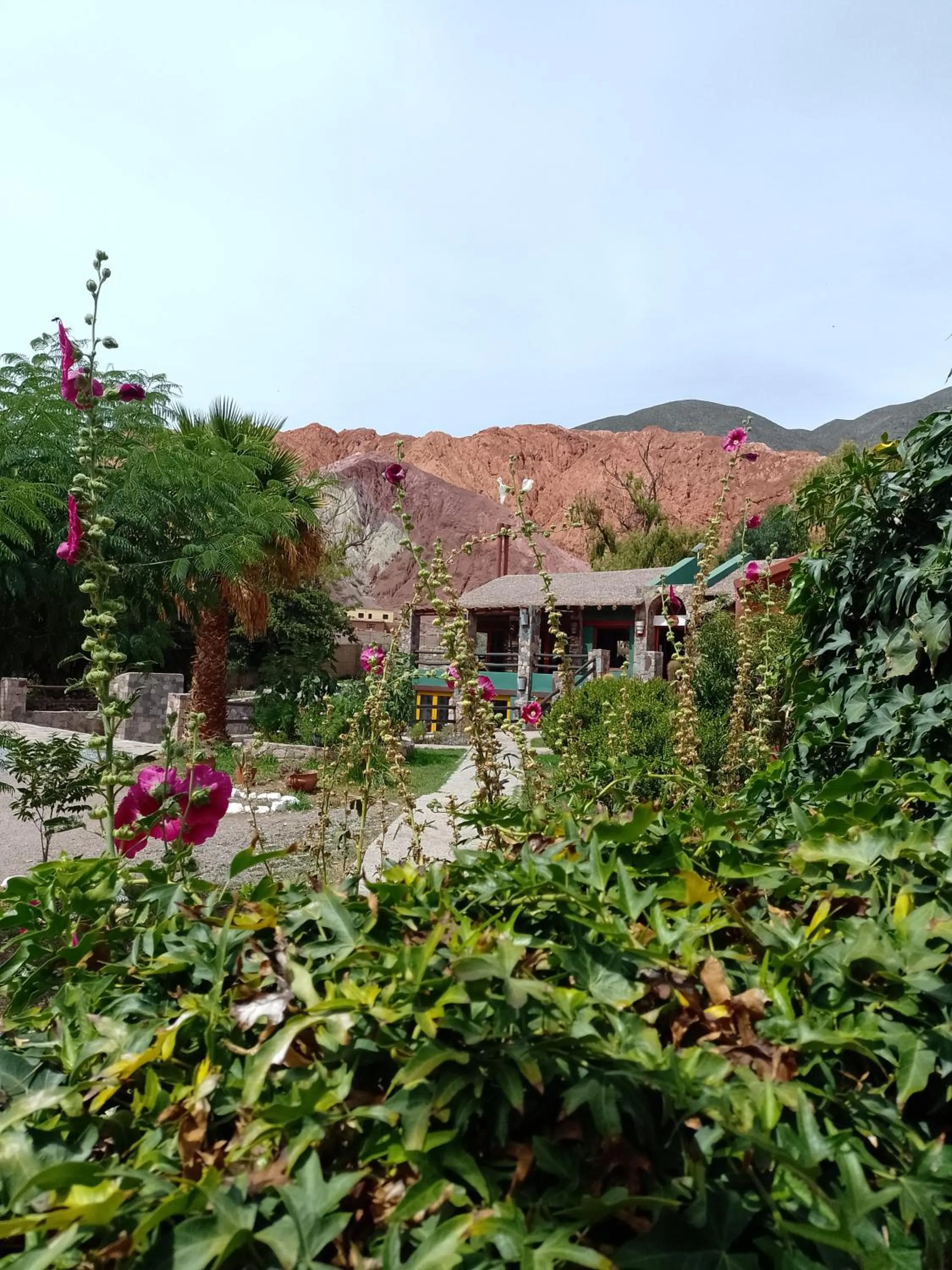 Breakfast in El Refugio de Coquena