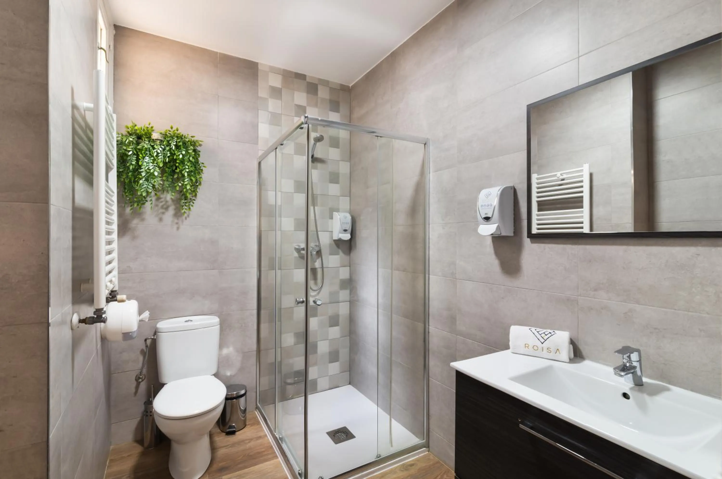 Shower in Roisa Centro