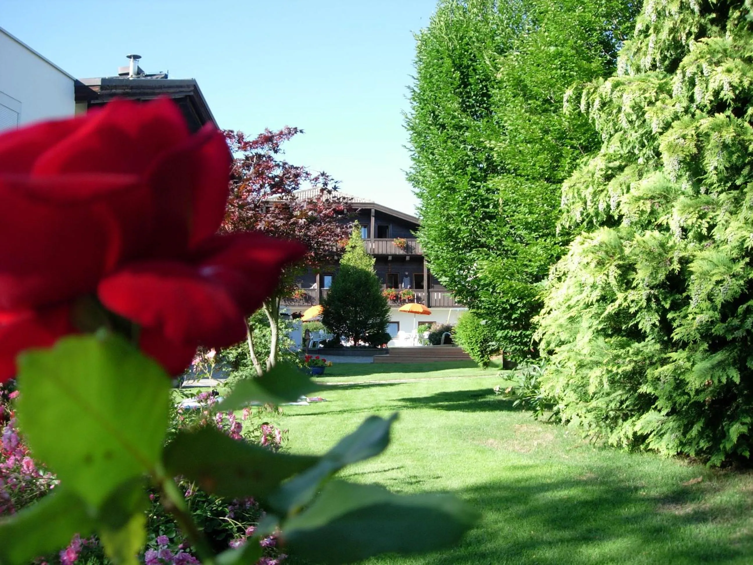 Area and facilities in Residence Baumgartner