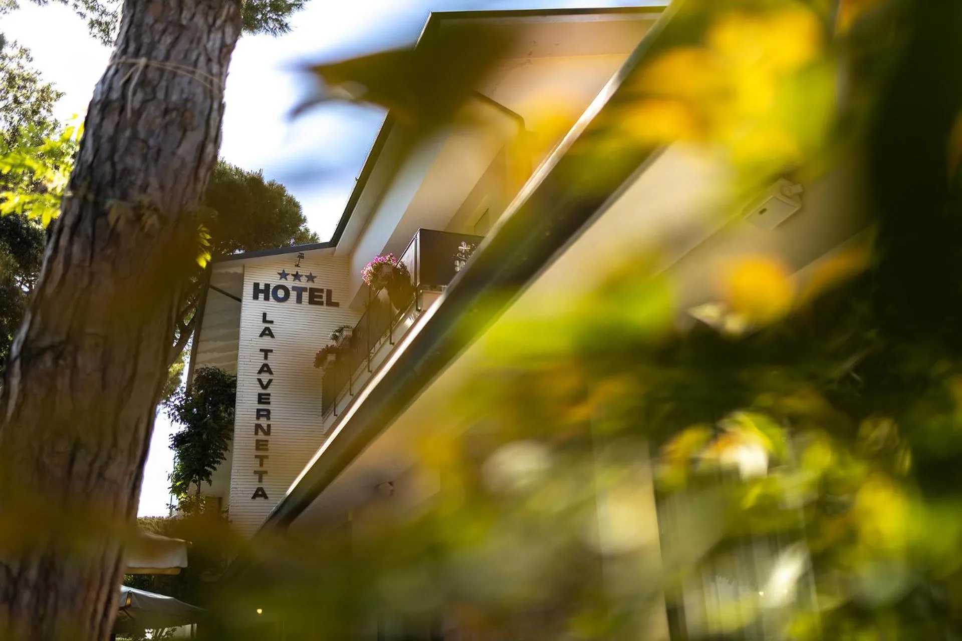 Property logo or sign in La Tavernetta