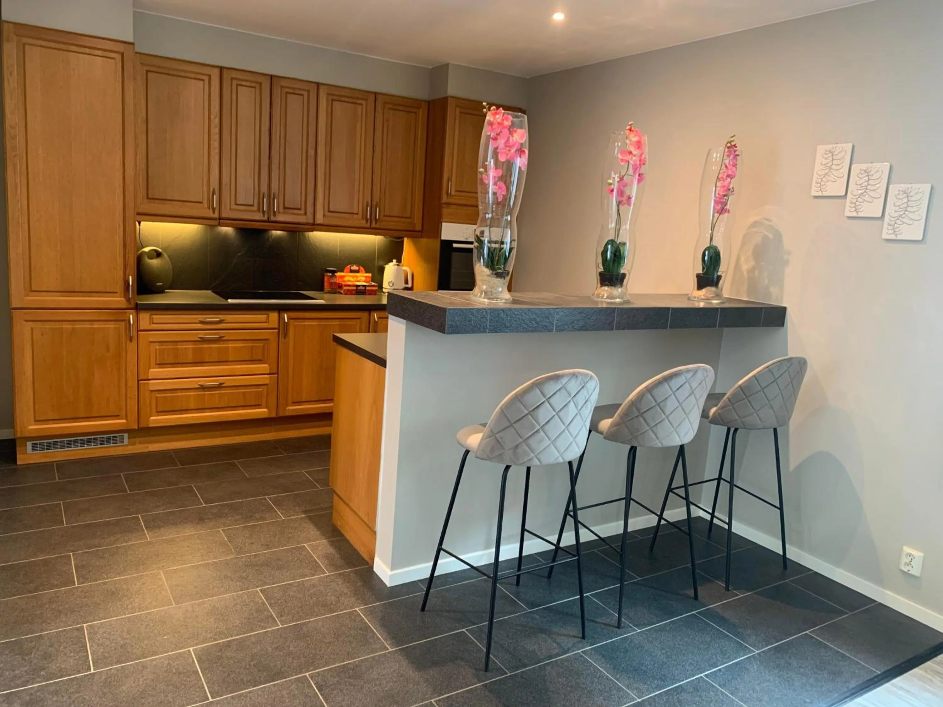 Notodden Sentrum Apartment NO 8