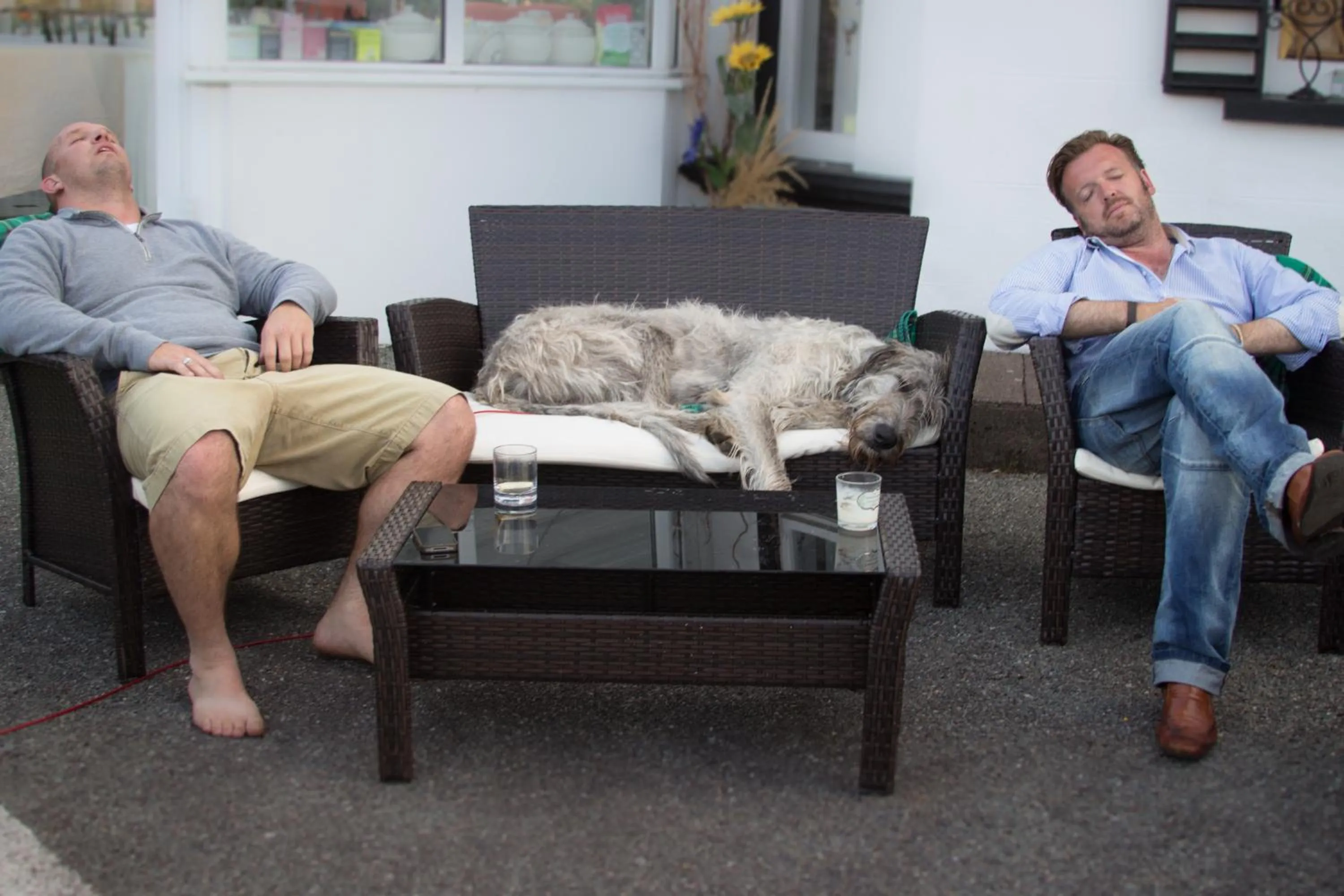 Pets in Milltown House Dingle