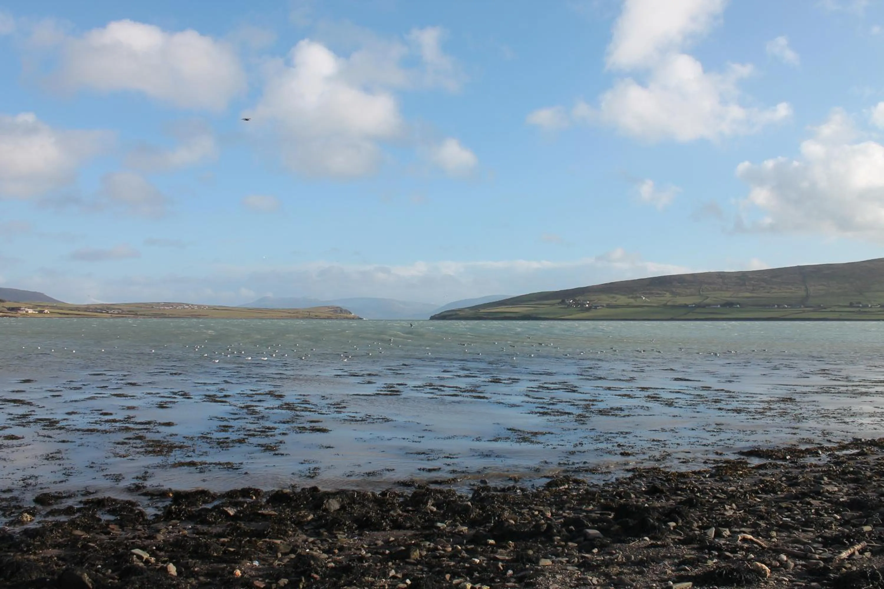 View (from property/room) in Milltown House Dingle