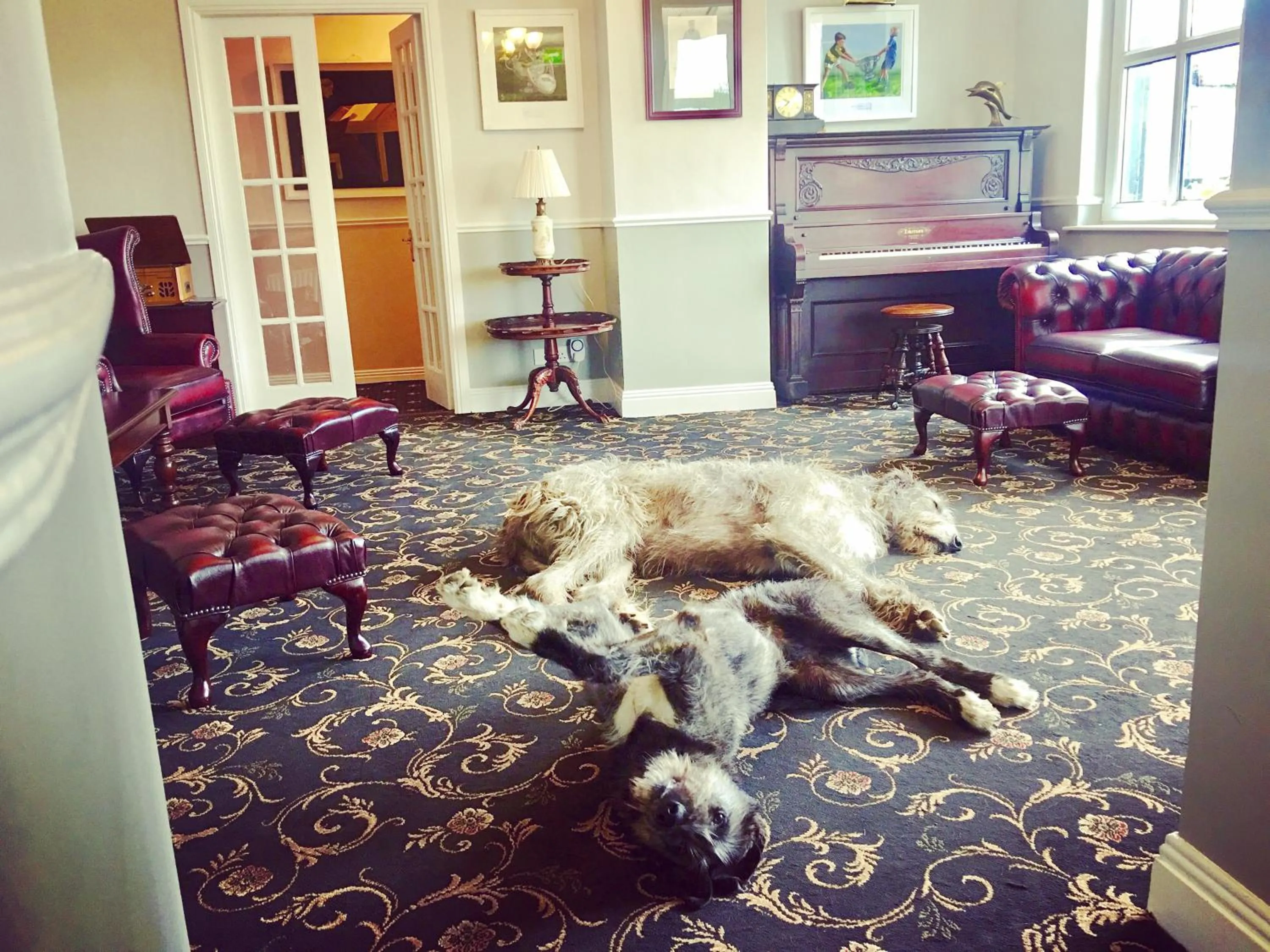 Lobby or reception in Milltown House Dingle