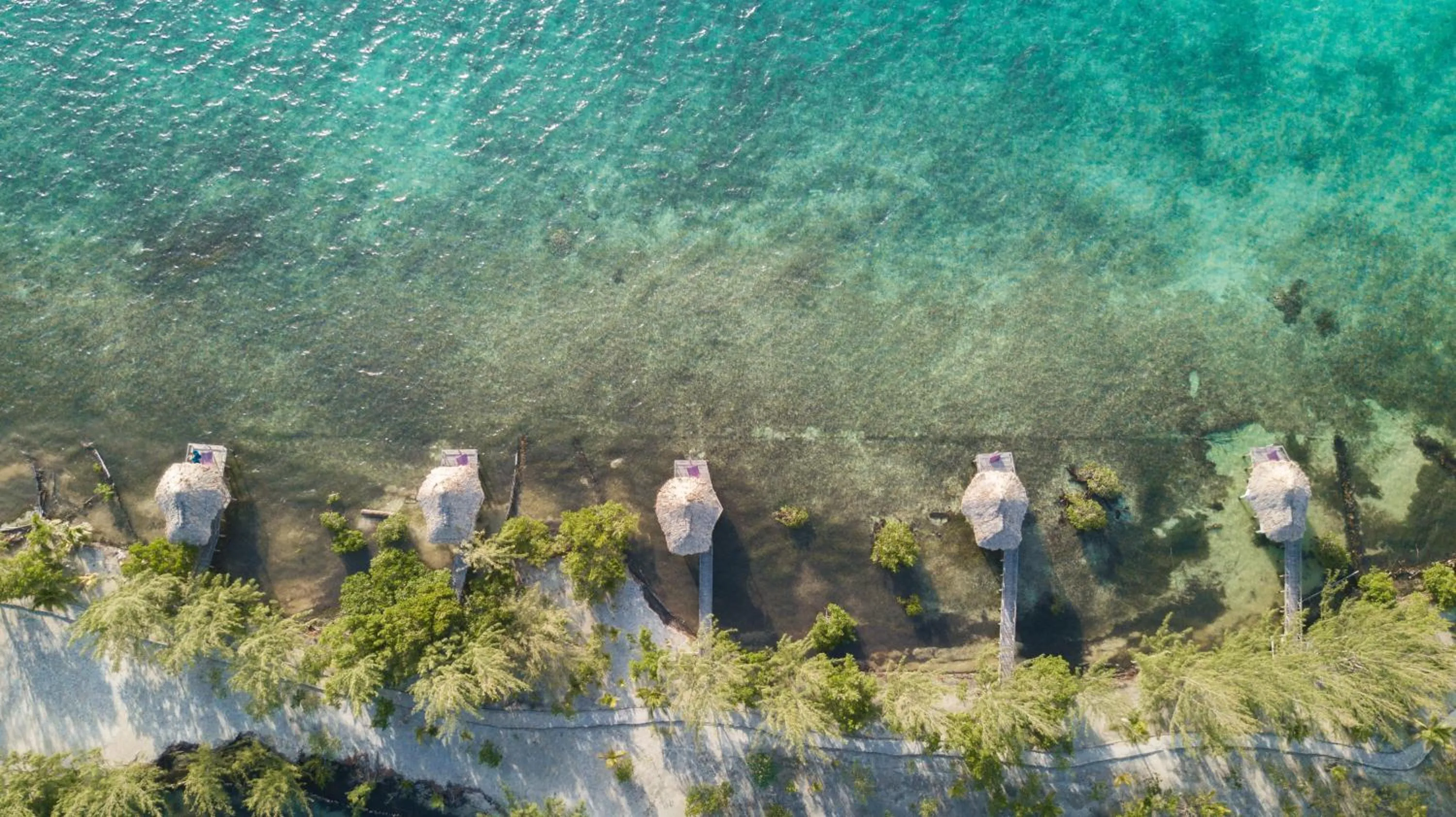 Natural landscape in Thatch Caye Resort a Muy'Ono Resort