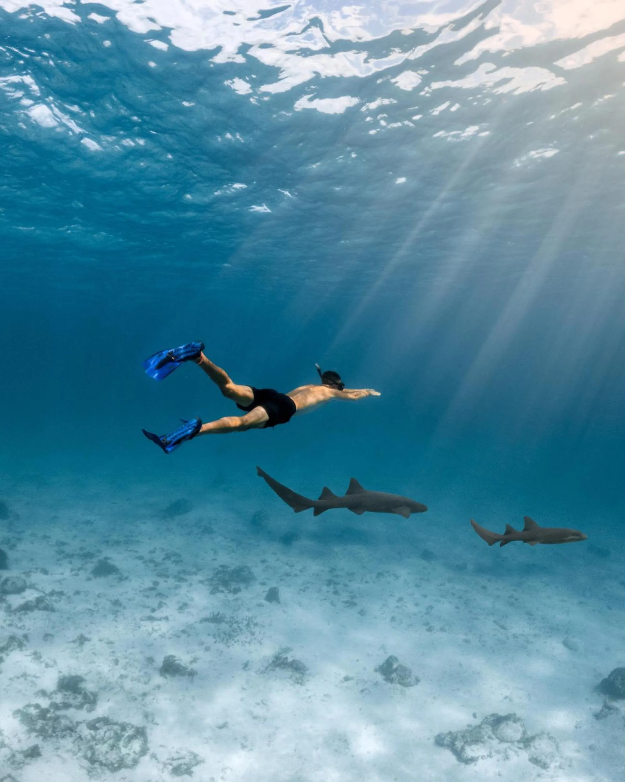 Snorkeling in Thatch Caye Resort a Muy'Ono Resort