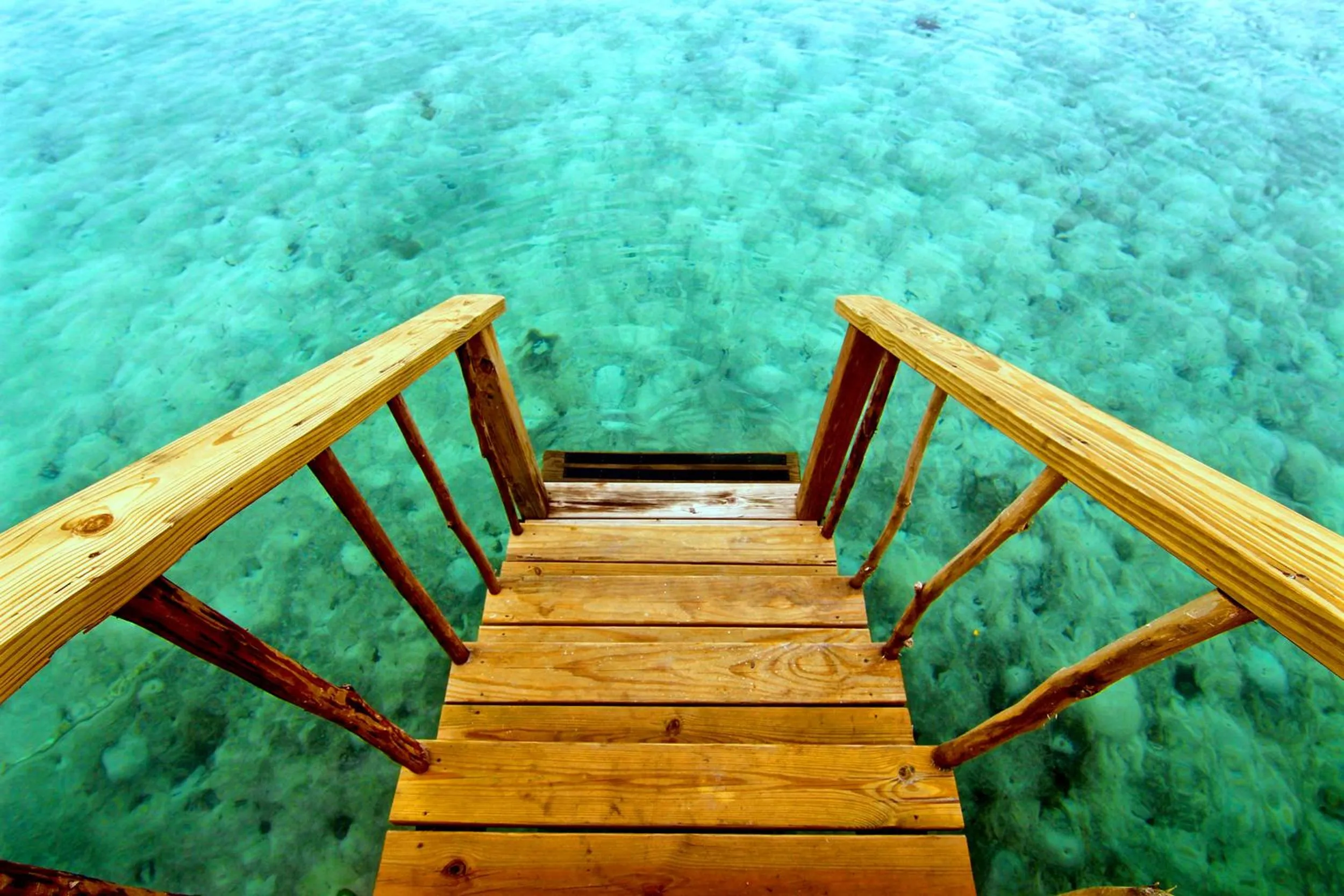 Beach in Thatch Caye Resort a Muy'Ono Resort