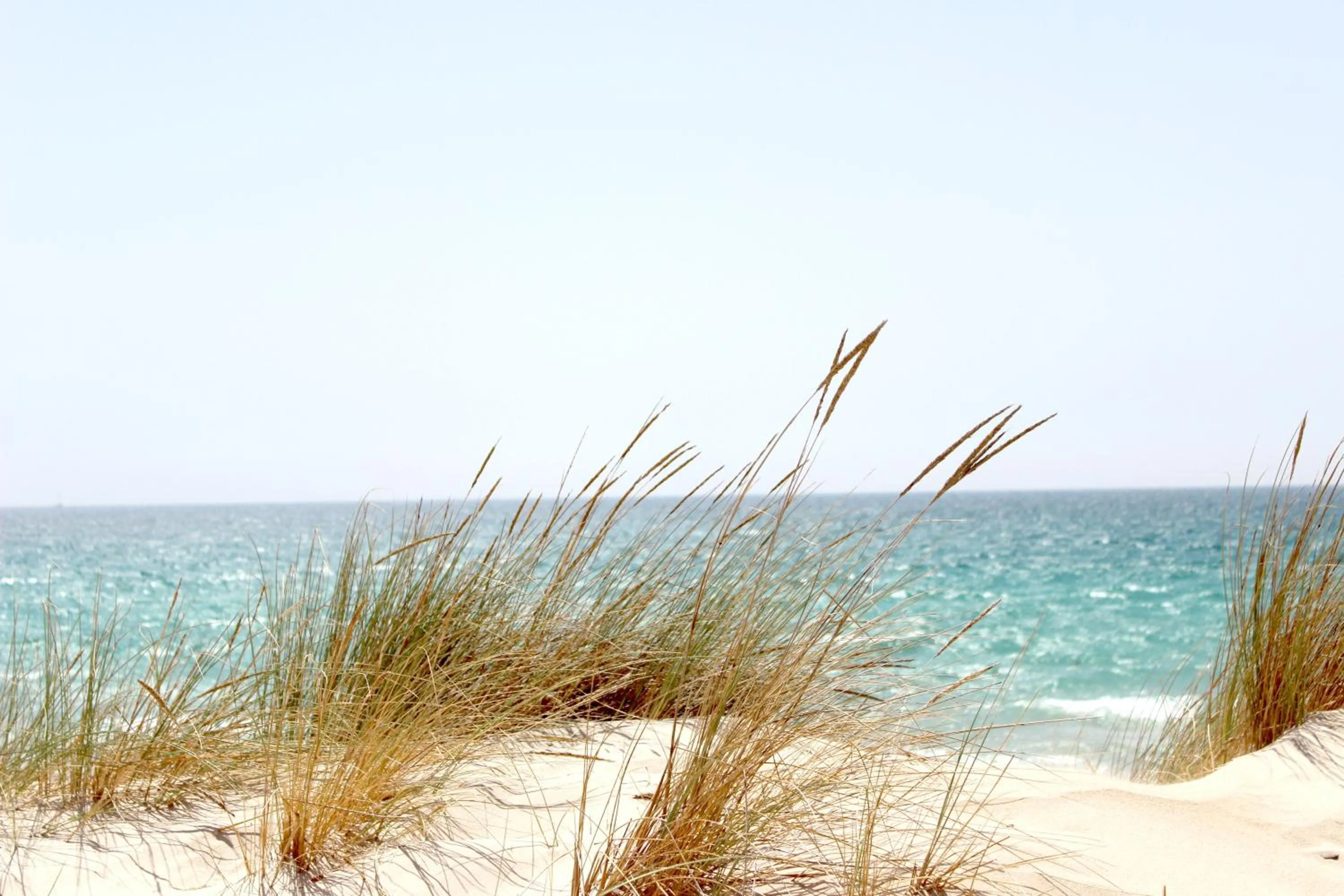 Natural landscape in Pura Villa- Buganvillas Ayamonte