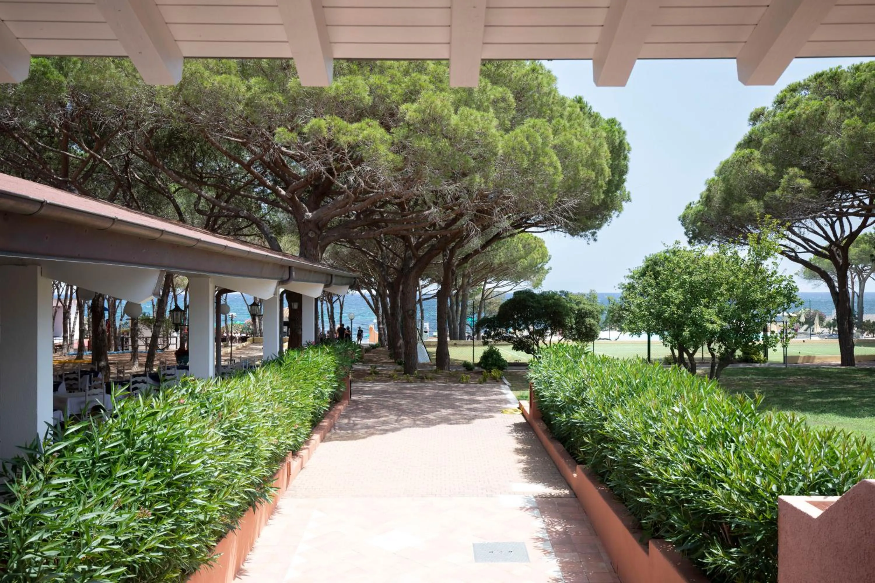 Garden in Club Hotel Marina Seada Beach