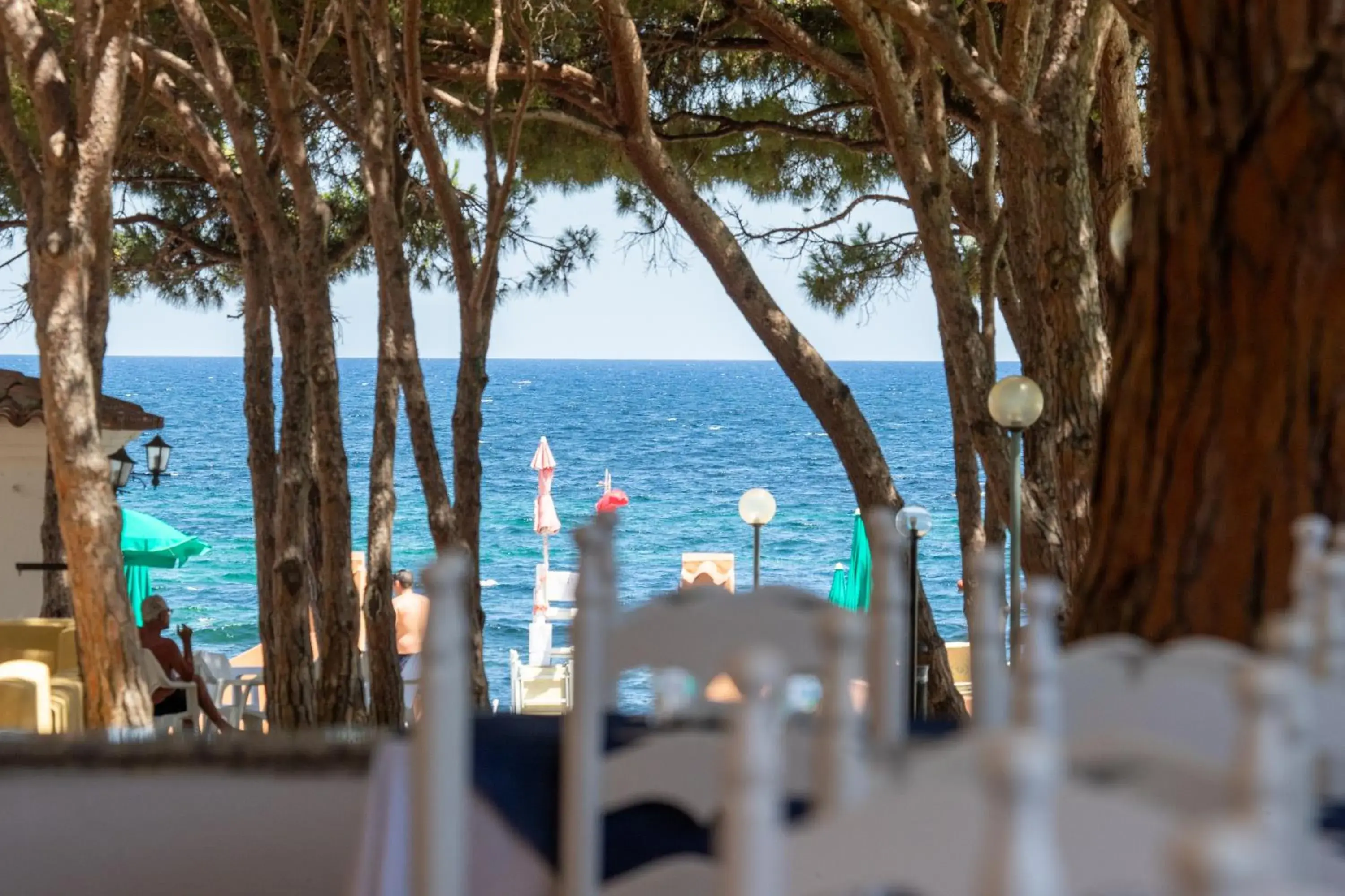 Restaurant/places to eat in Club Hotel Marina Seada Beach Restaurant/places to eat in Club Hotel Marina Seada Beach