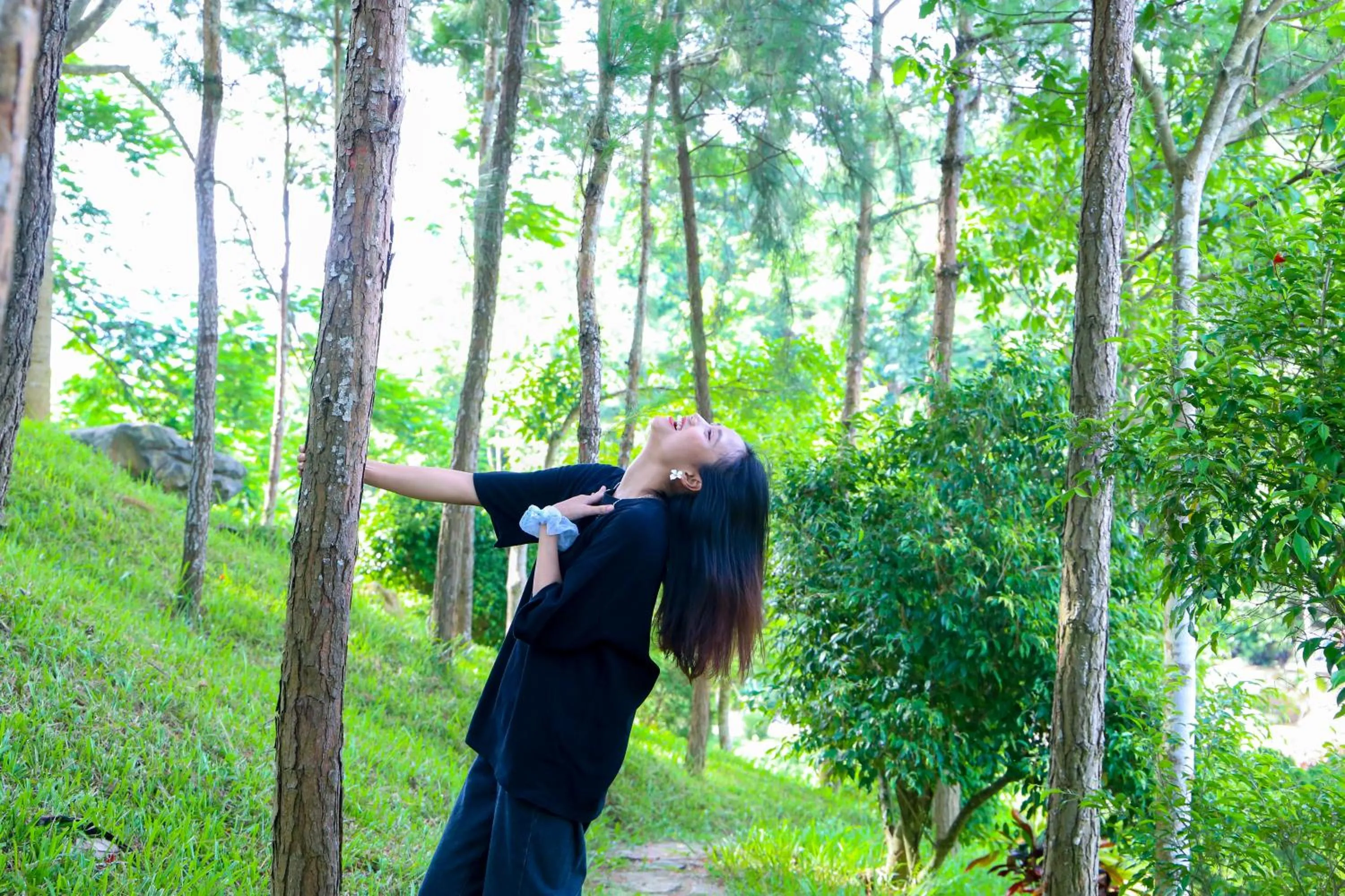 Property building in MEDDOM Park