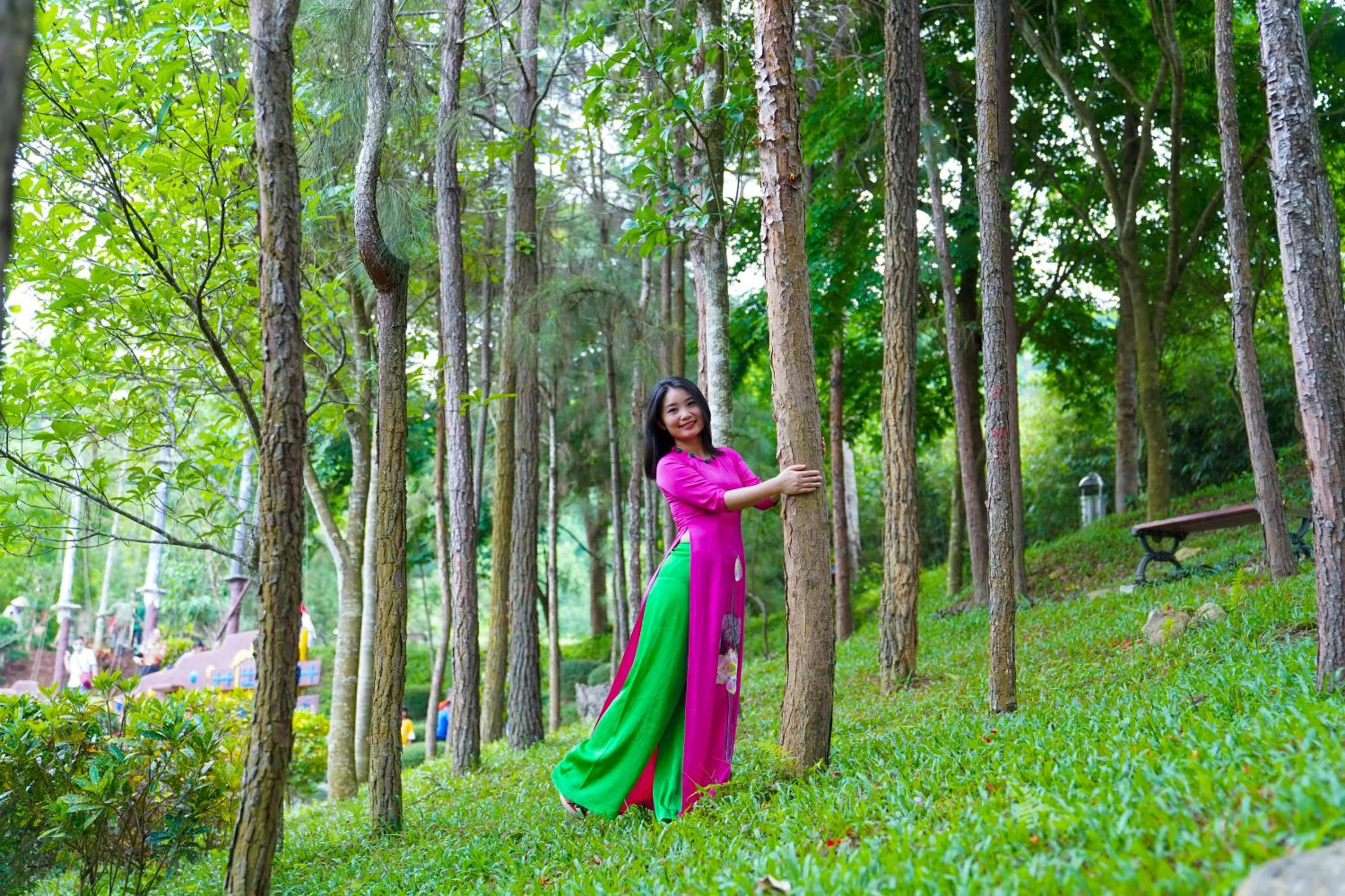 Property building in MEDDOM Park