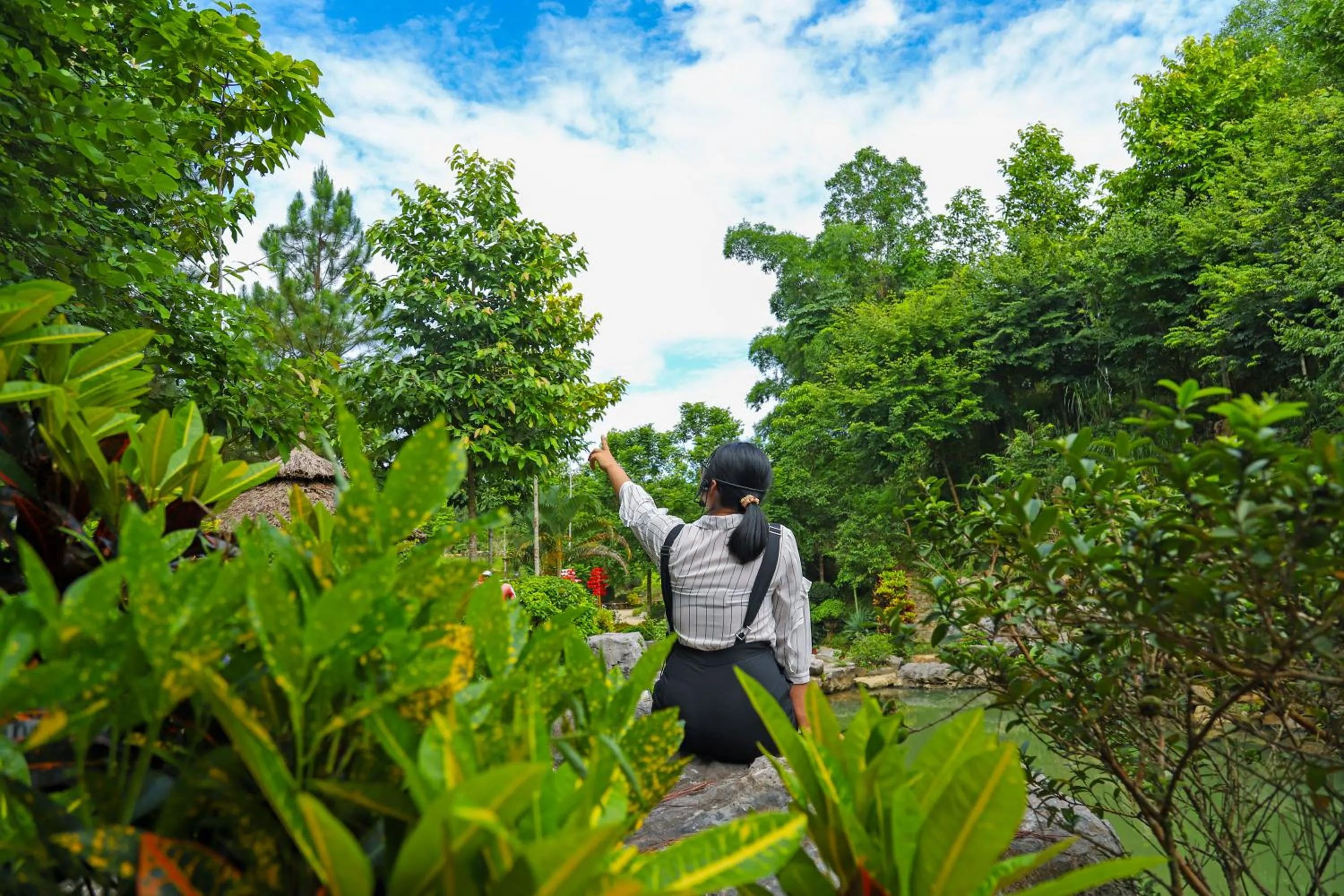 Property building in MEDDOM Park