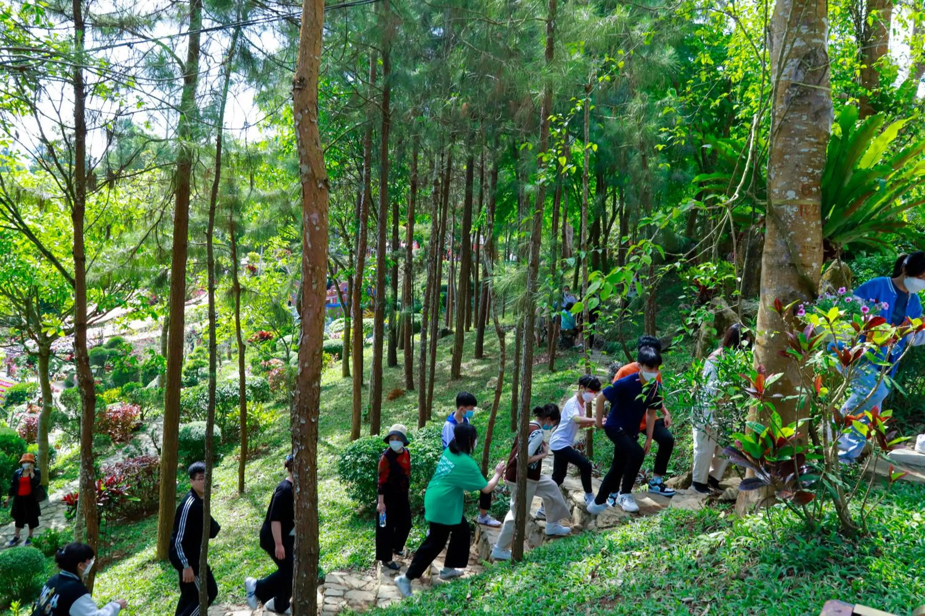 Property building in MEDDOM Park