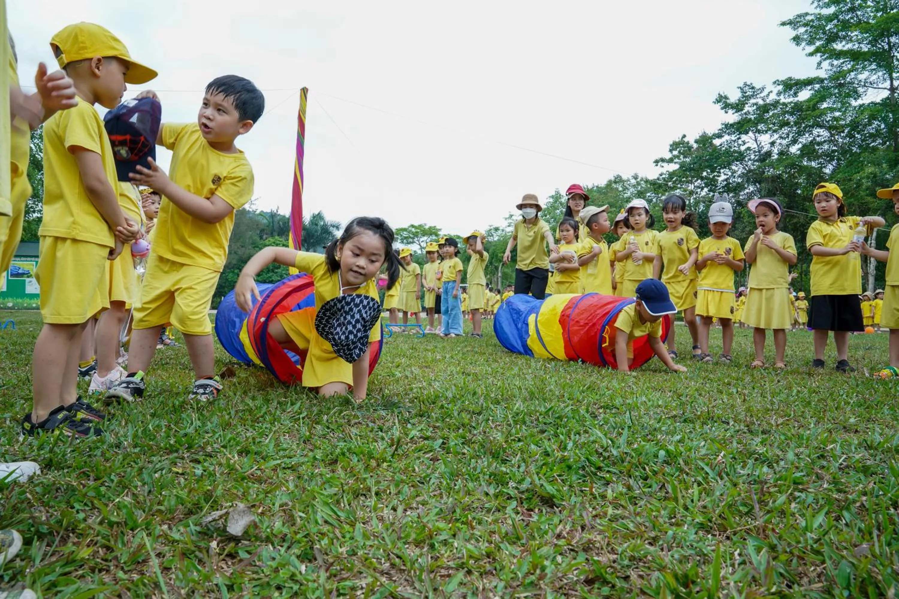 Property building in MEDDOM Park