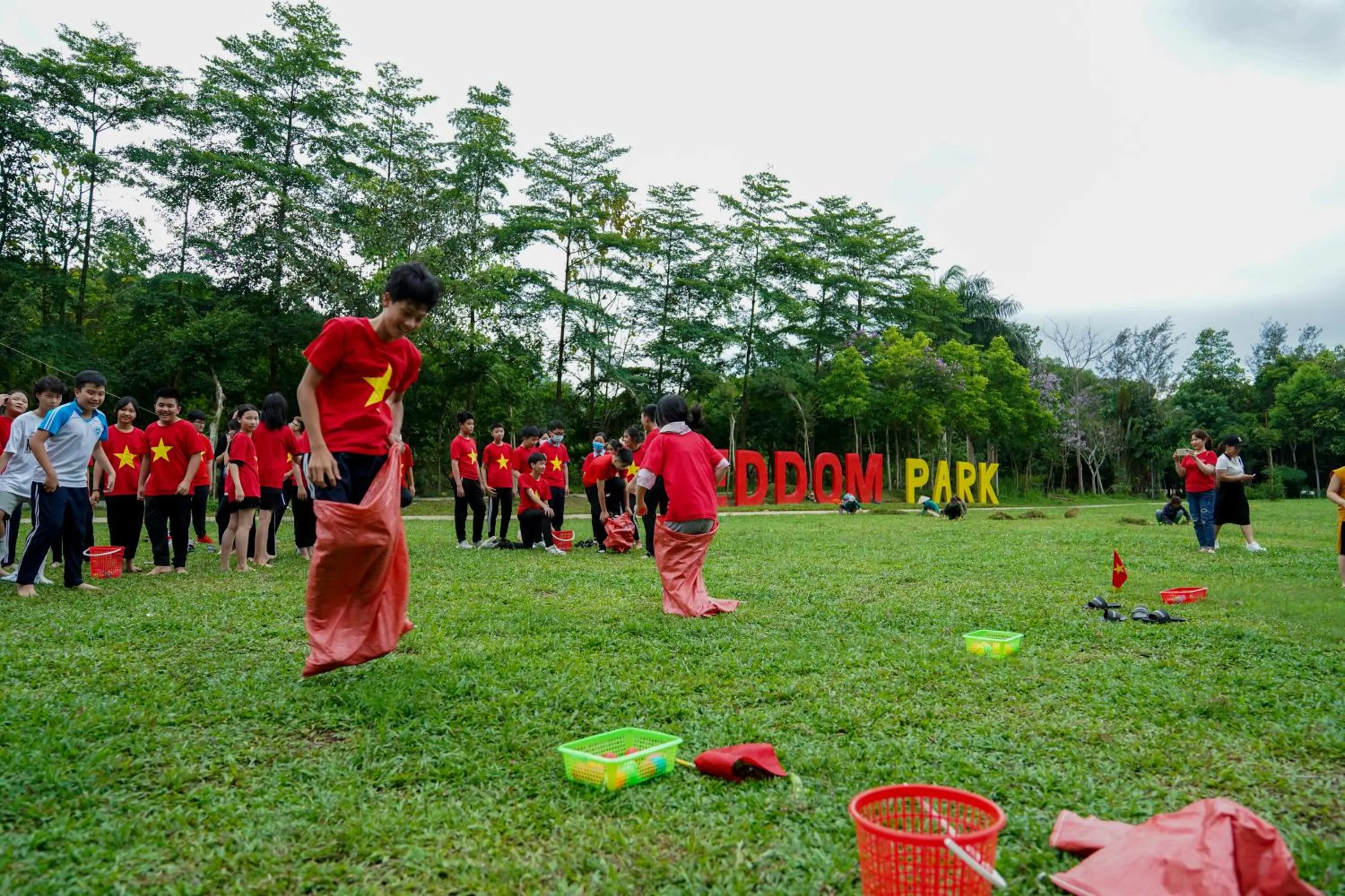 Property building in MEDDOM Park