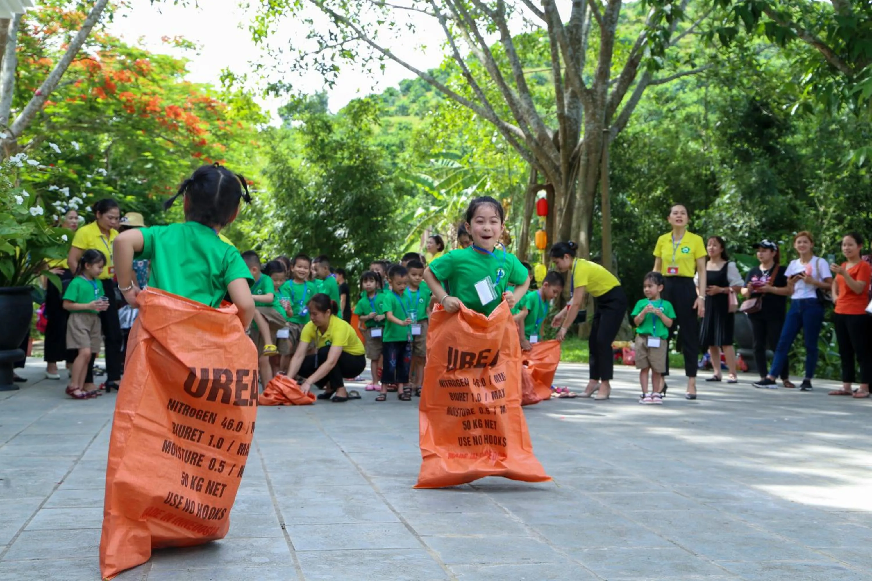 Property building in MEDDOM Park