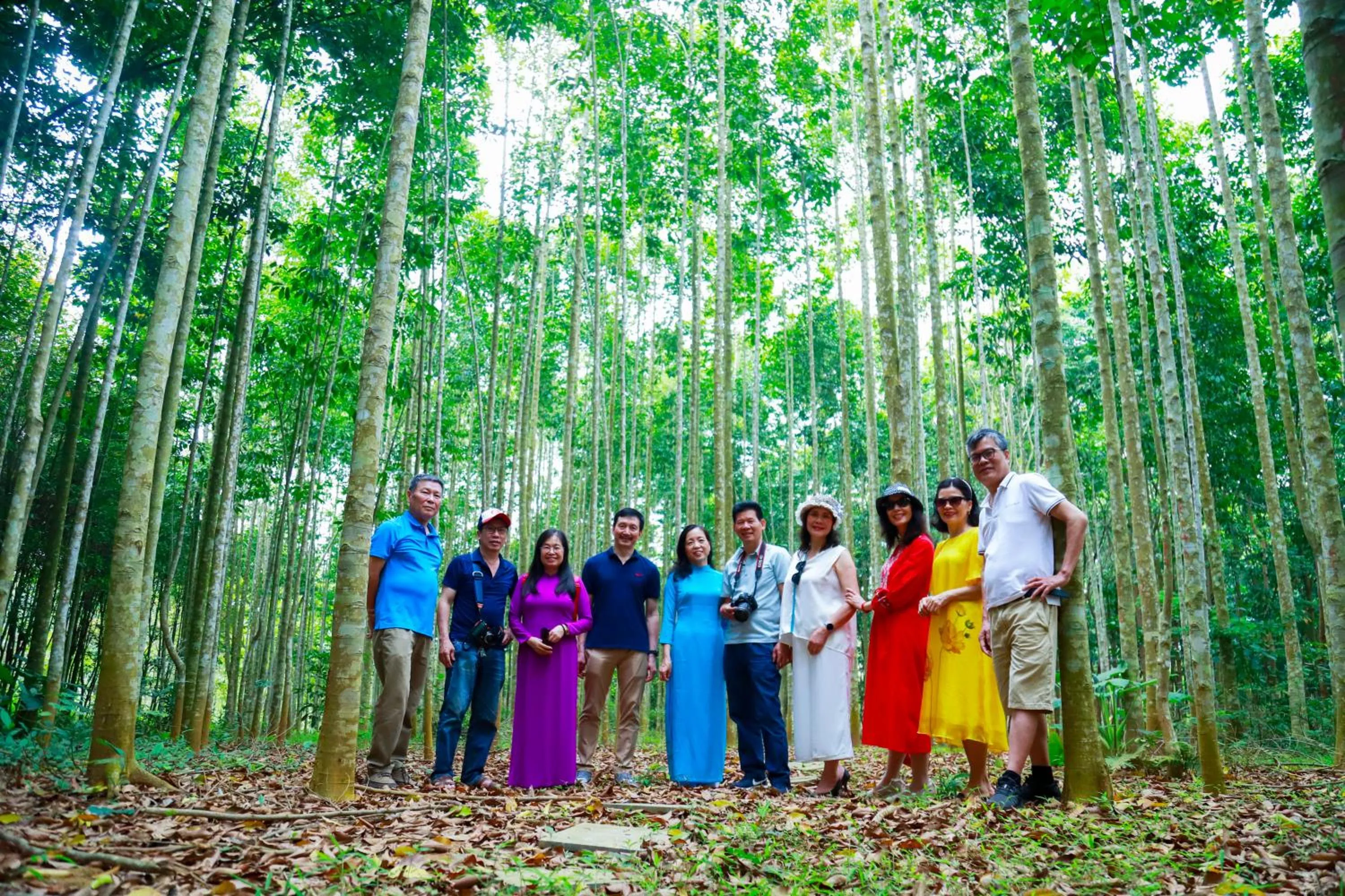 Property building in MEDDOM Park