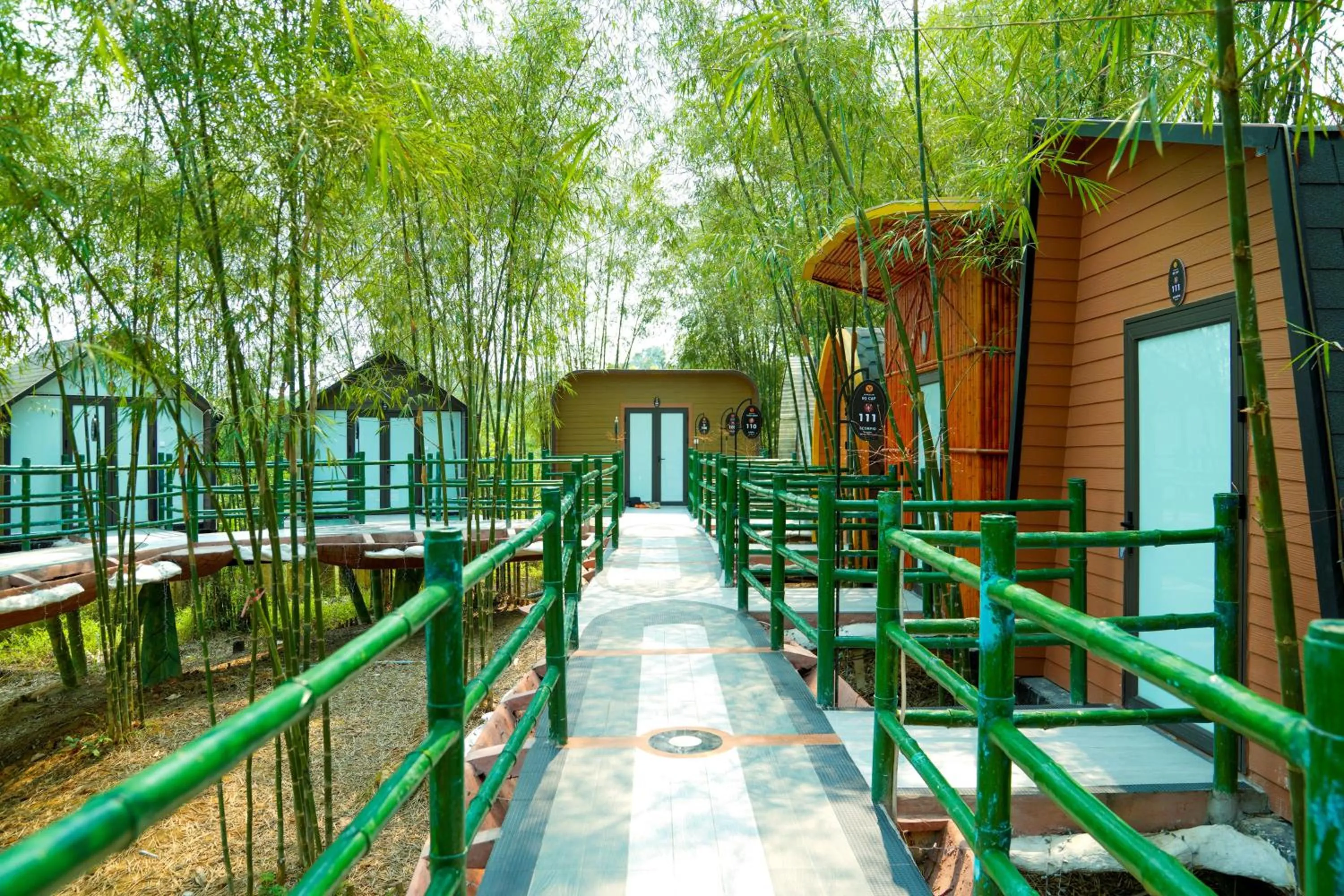 Natural landscape in MEDDOM Park