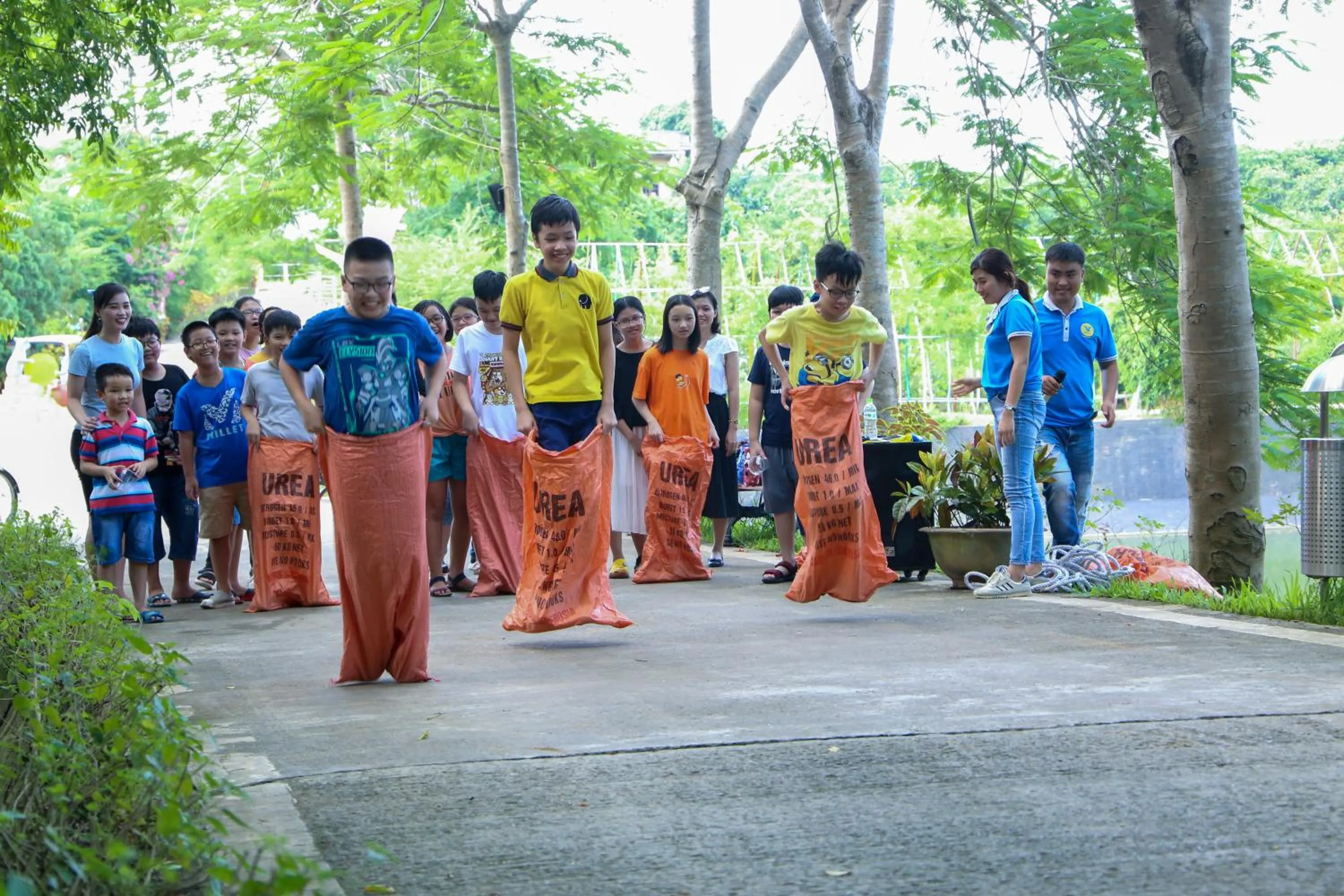 Property building in MEDDOM Park
