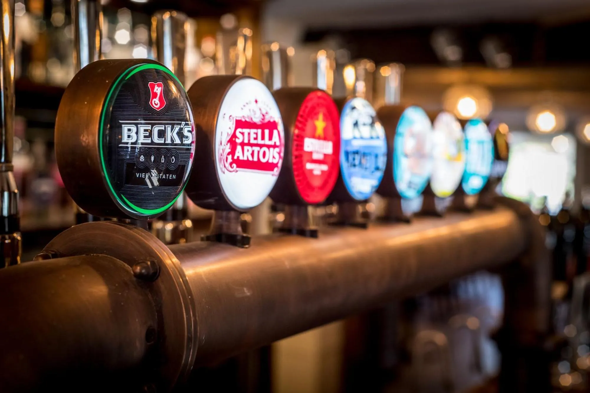 Restaurant/places to eat in The Queen's Arms