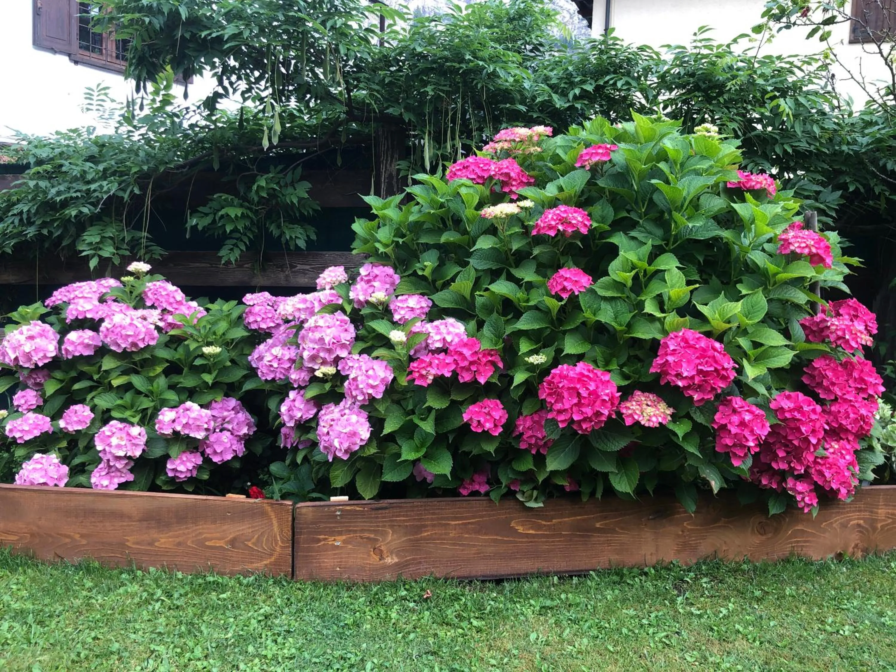 Garden in Maison Laurent