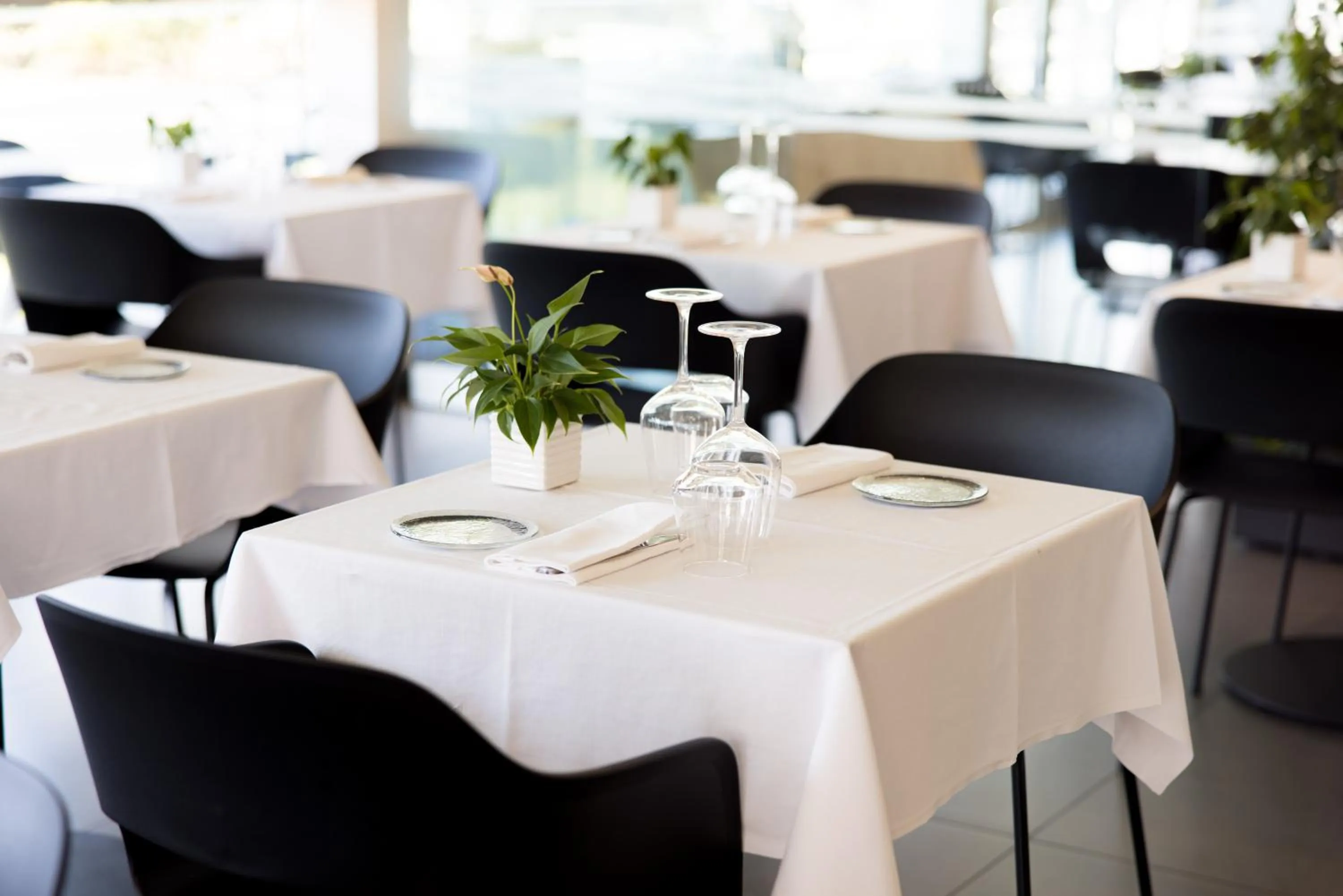 Restaurant/places to eat in Hotel Viareggio